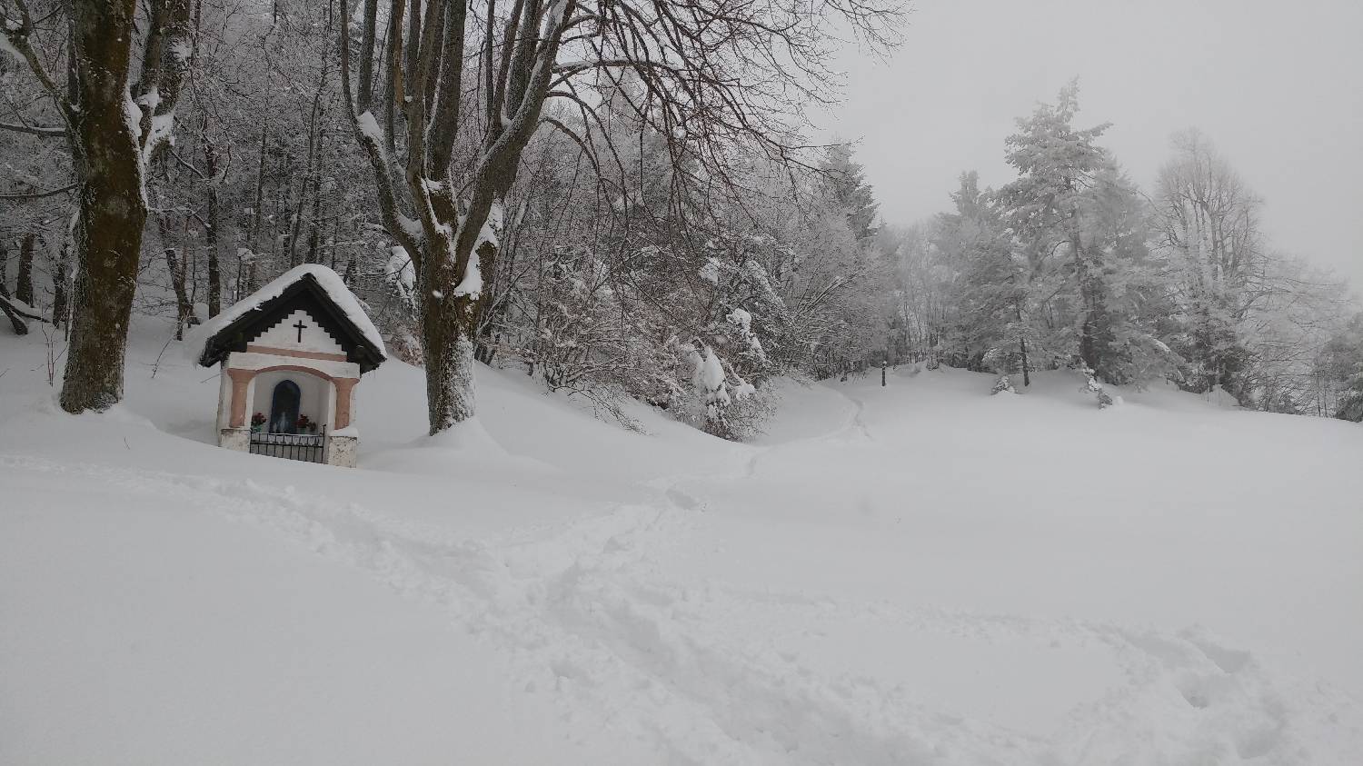 Briše - Polhograjska gora slika 16