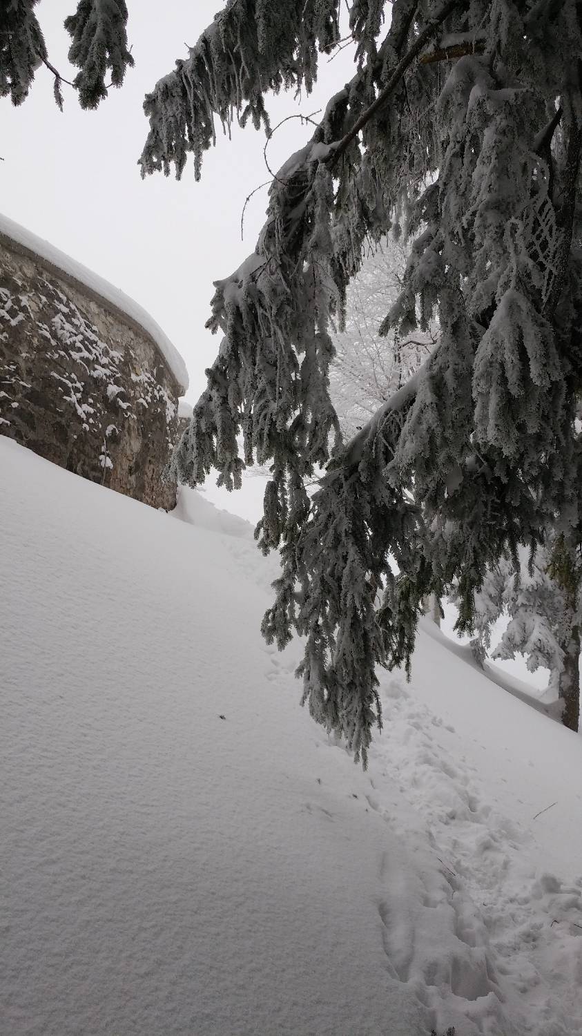 Briše - Polhograjska gora slika 18