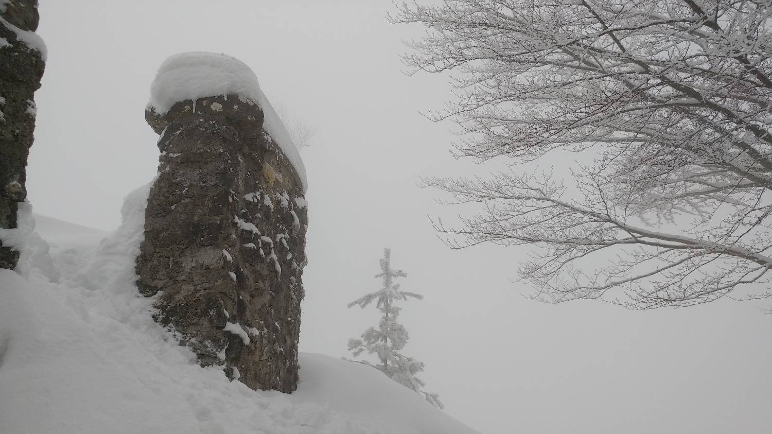 Briše - Polhograjska gora slika 19