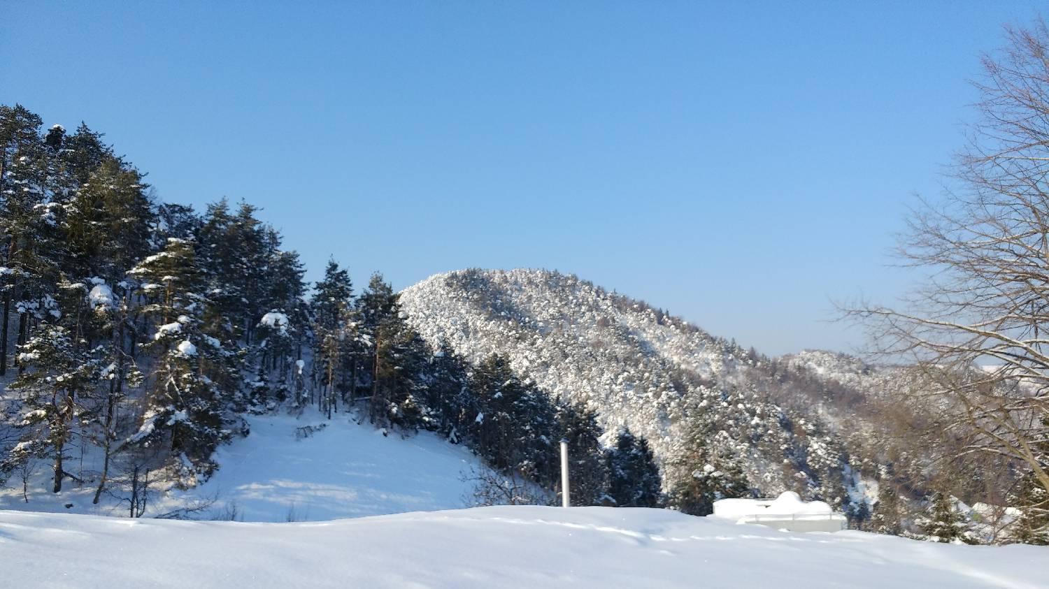Belo - Goljek slika 9