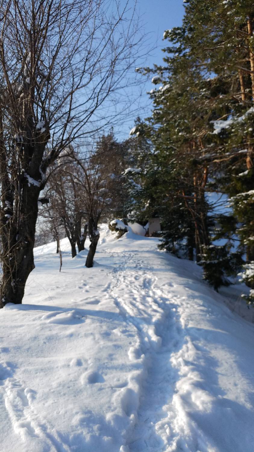 Belo - Goljek slika 10