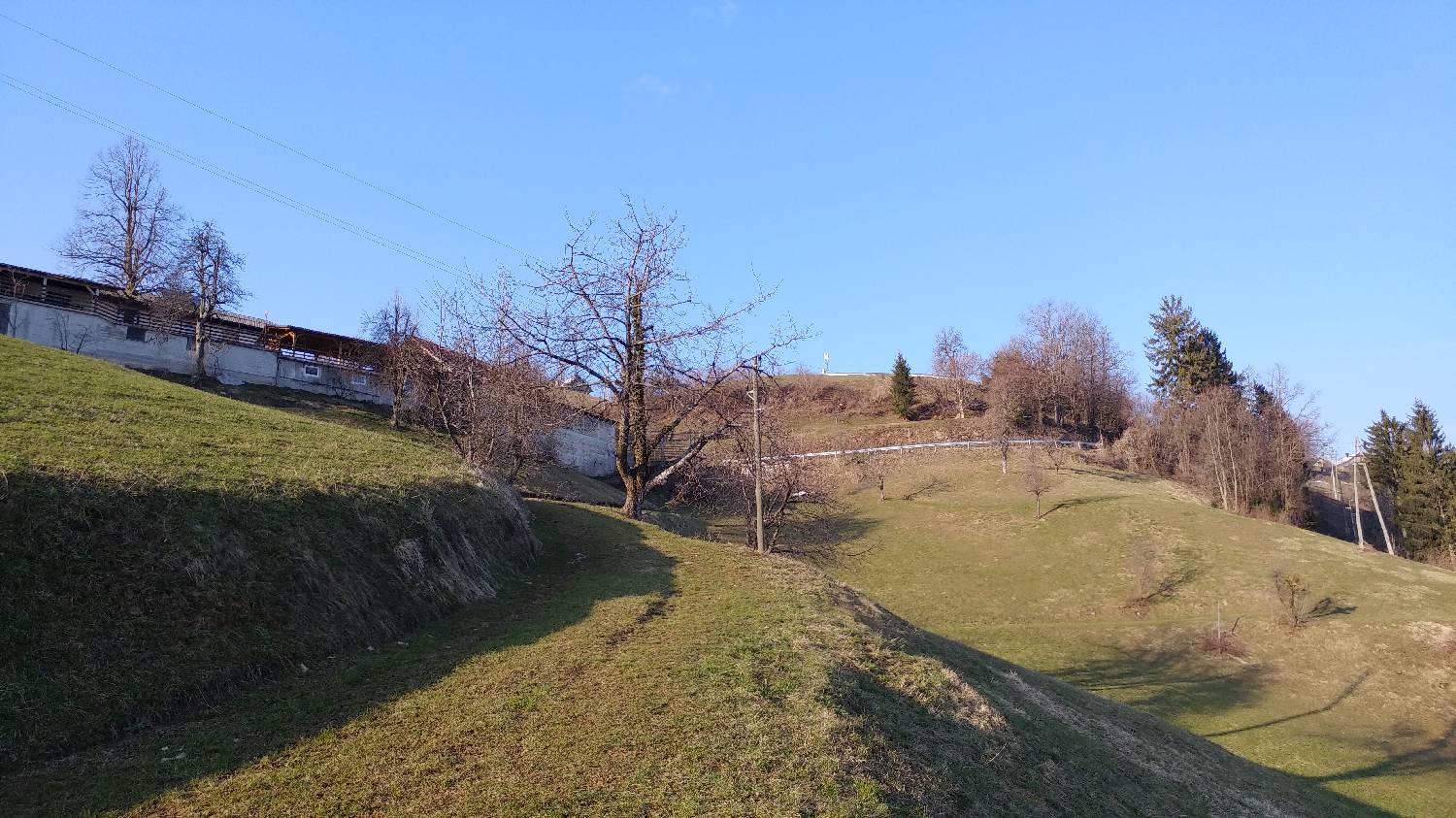 Horjul - Koreno slika 15