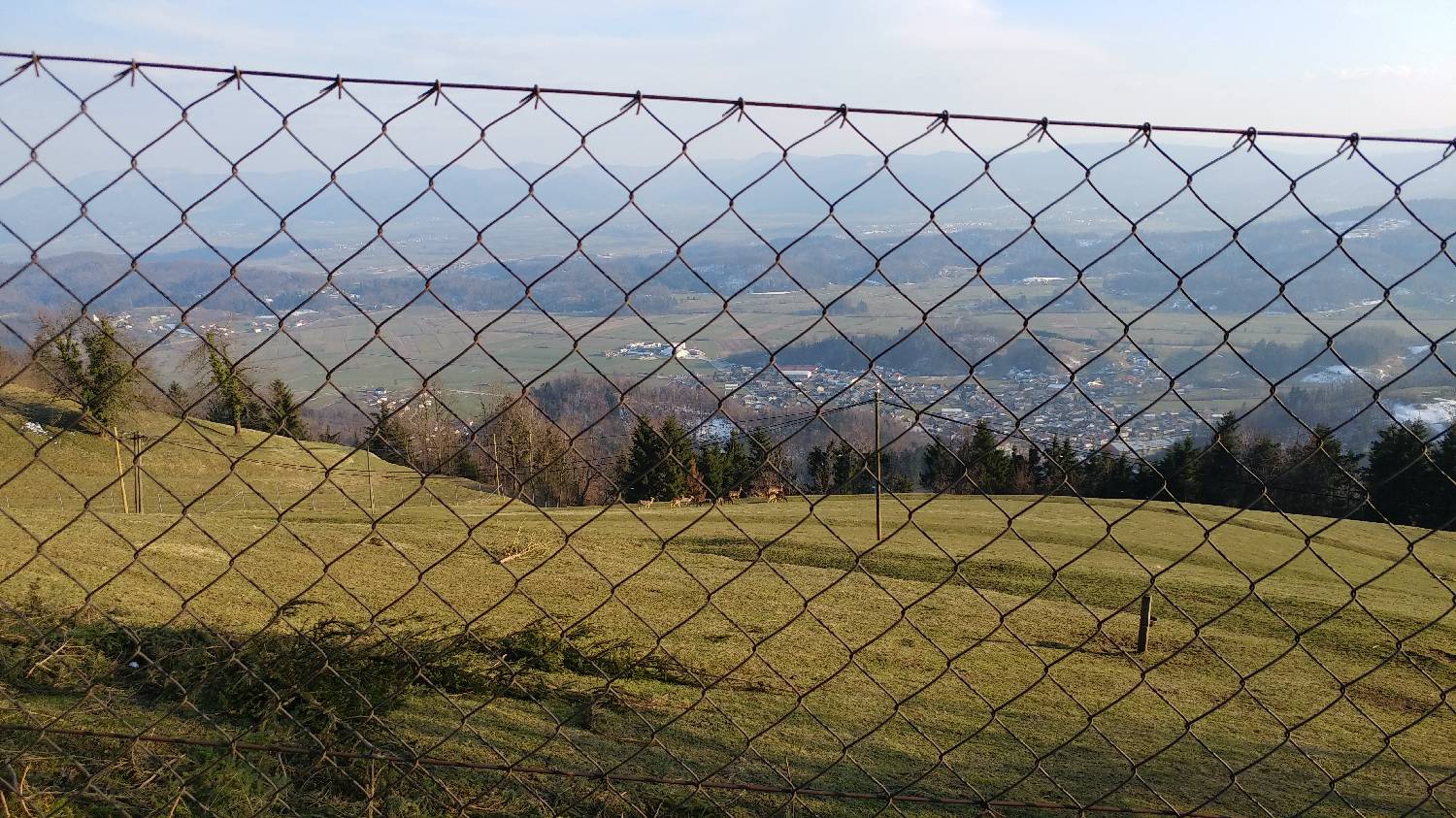 Horjul - Koreno slika 17