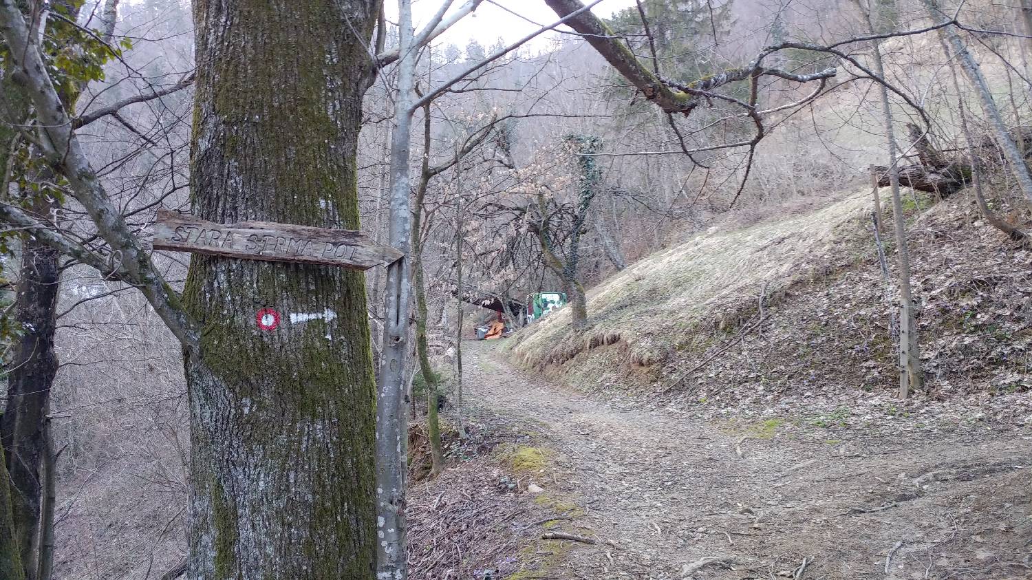 Horjul - Koreno slika 8