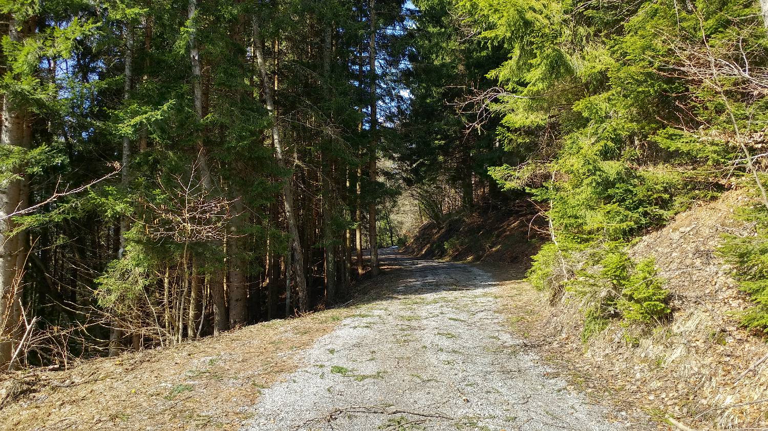 Podkoren - Peč (Tromeja) slika 8