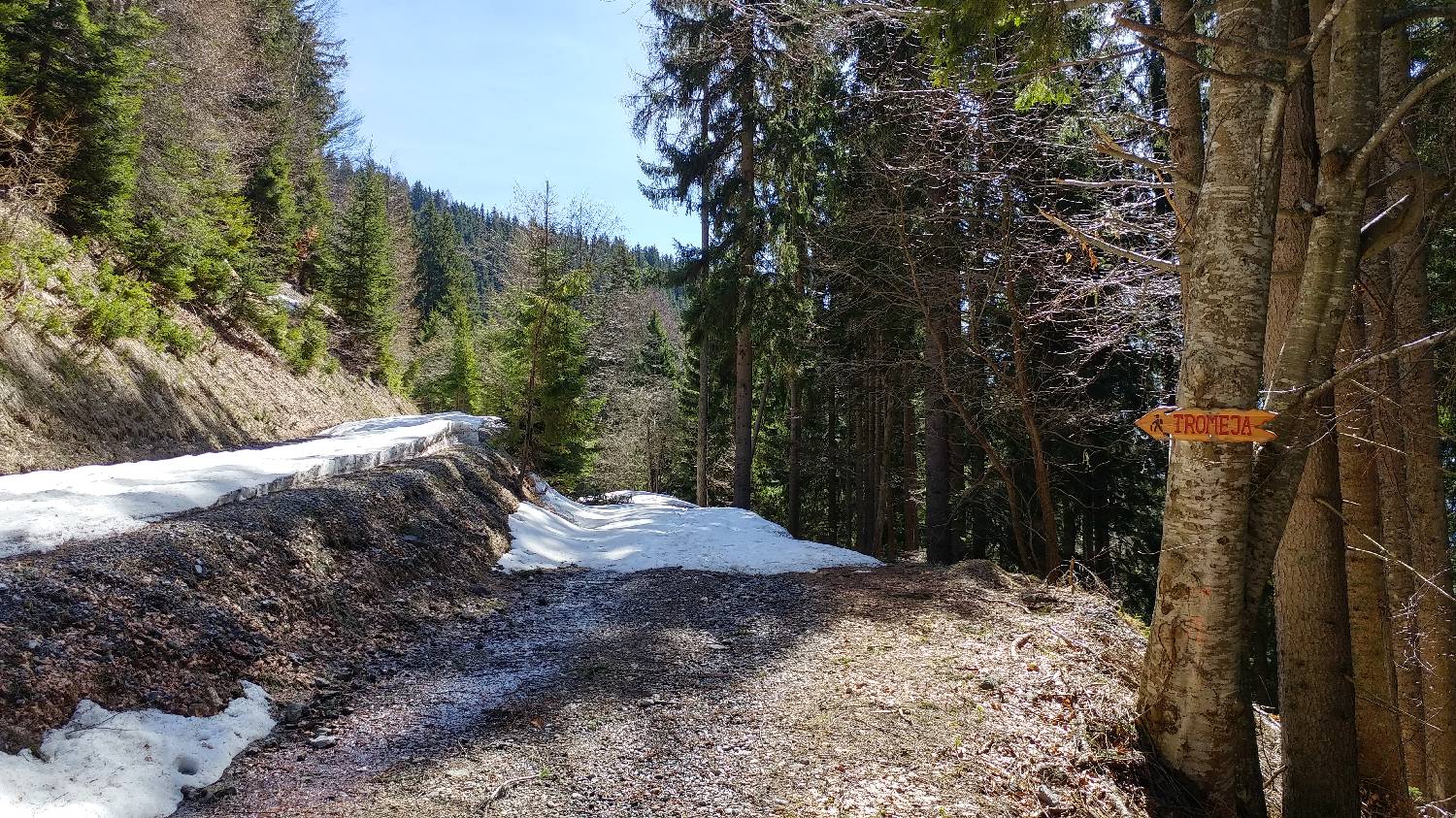 Podkoren - Petelinjek (Ob Tromeji) slika 12