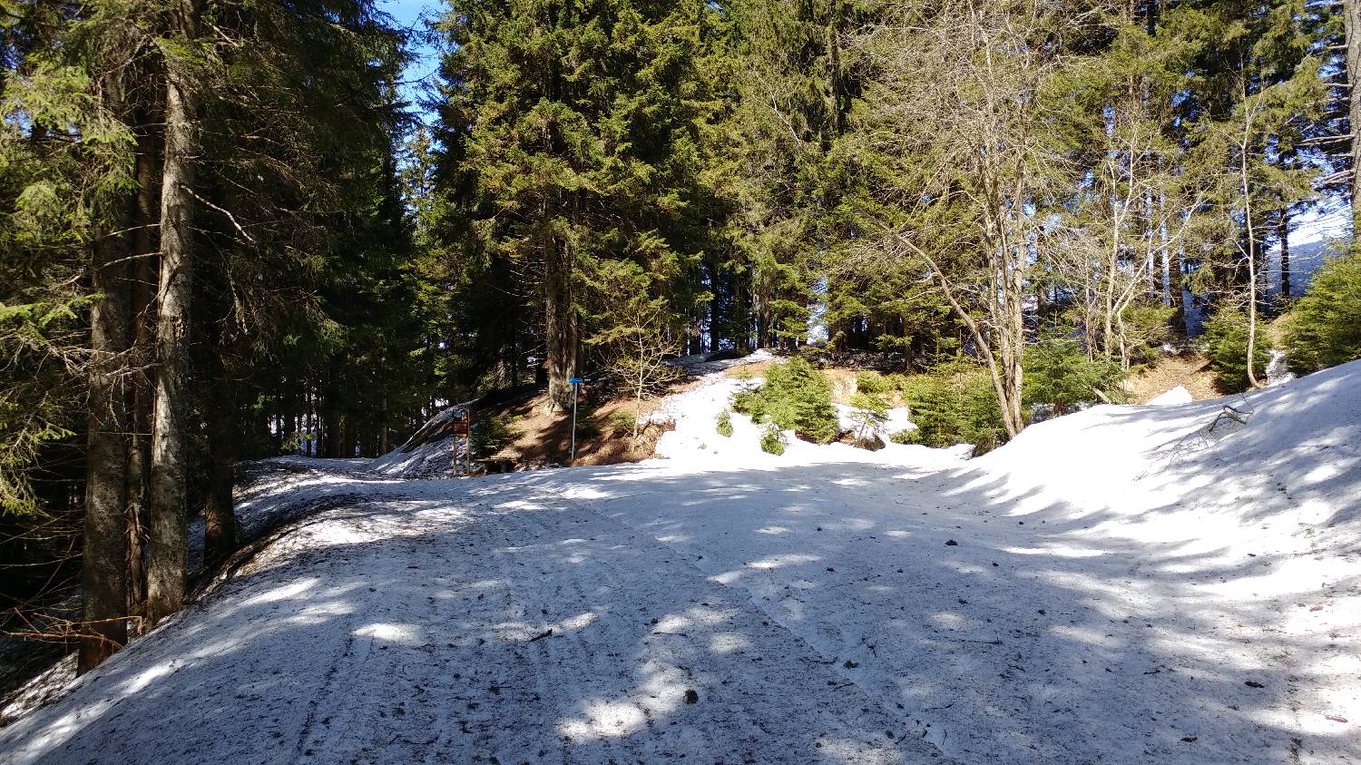Podkoren - Peč (Tromeja) slika 16