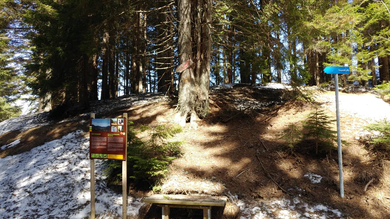 Podkoren - Peč (Tromeja) slika 17