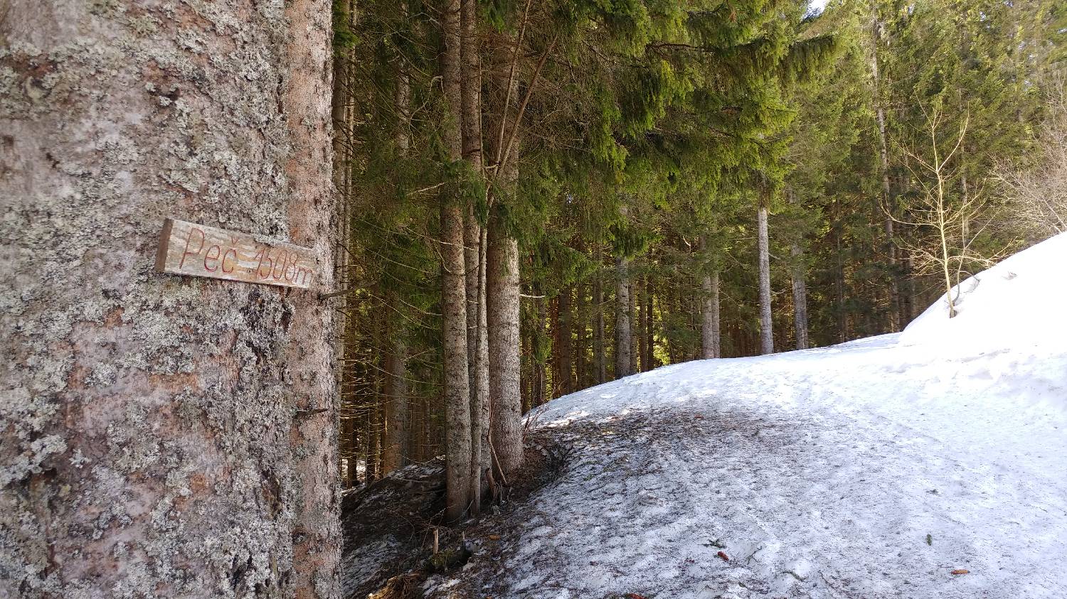 Podkoren - Peč (Tromeja) slika 18