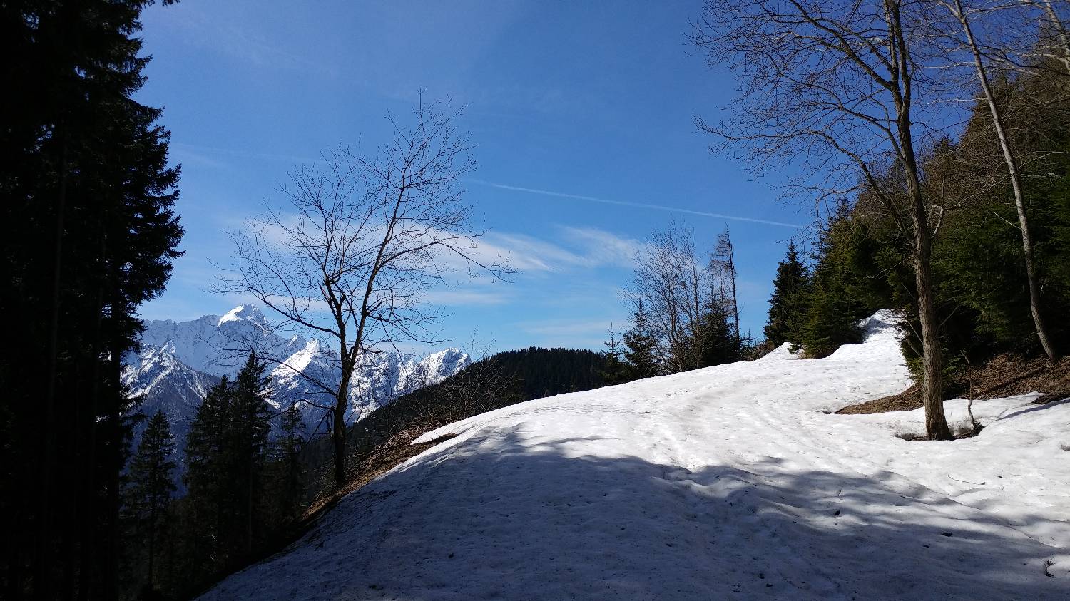 Podkoren - Peč (Tromeja) slika 19