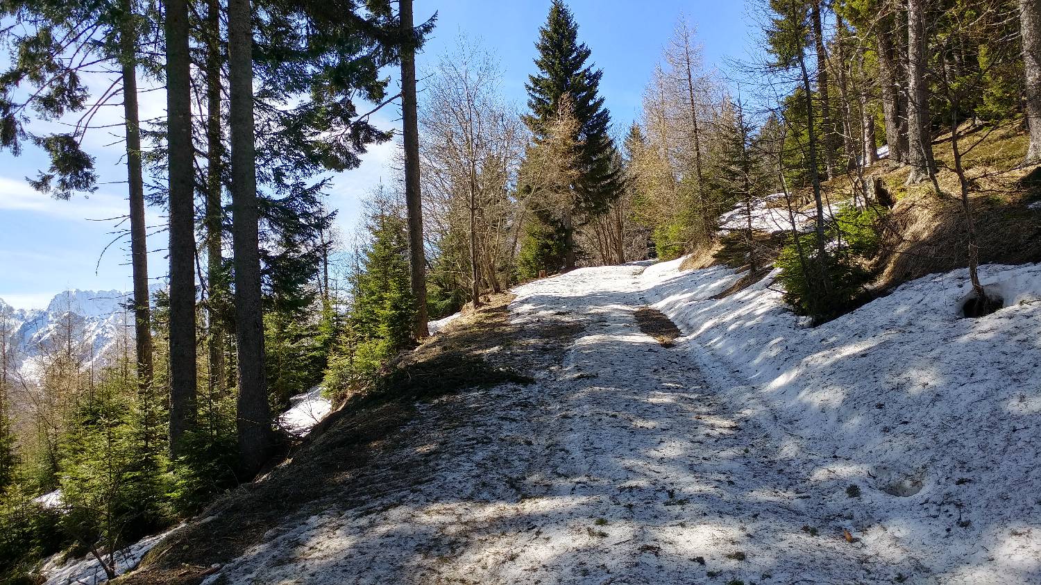 Podkoren - Peč (Tromeja) slika 21