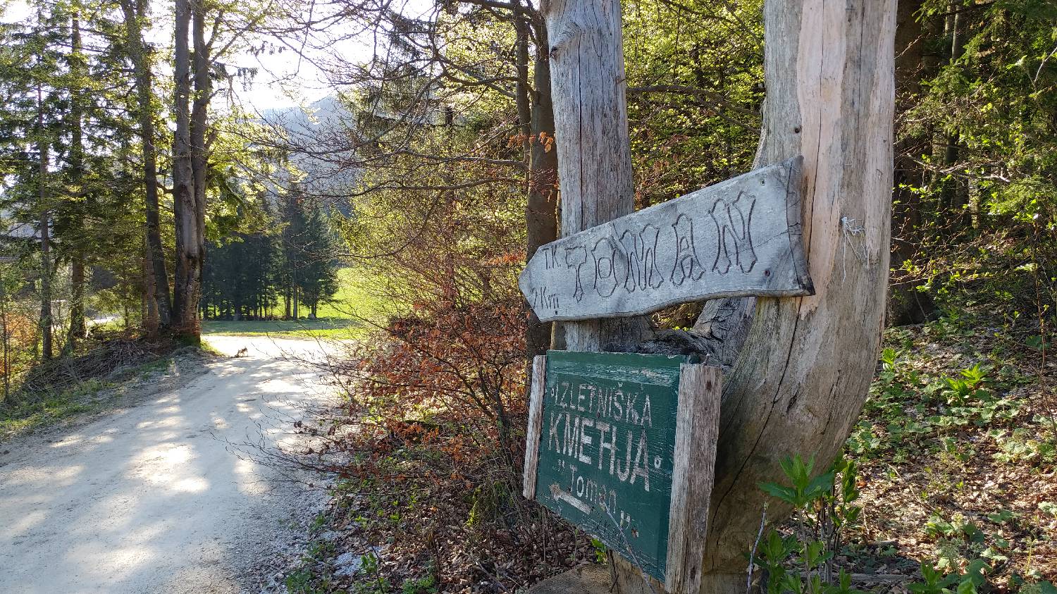 Črnivec - Planina Travnik slika 7