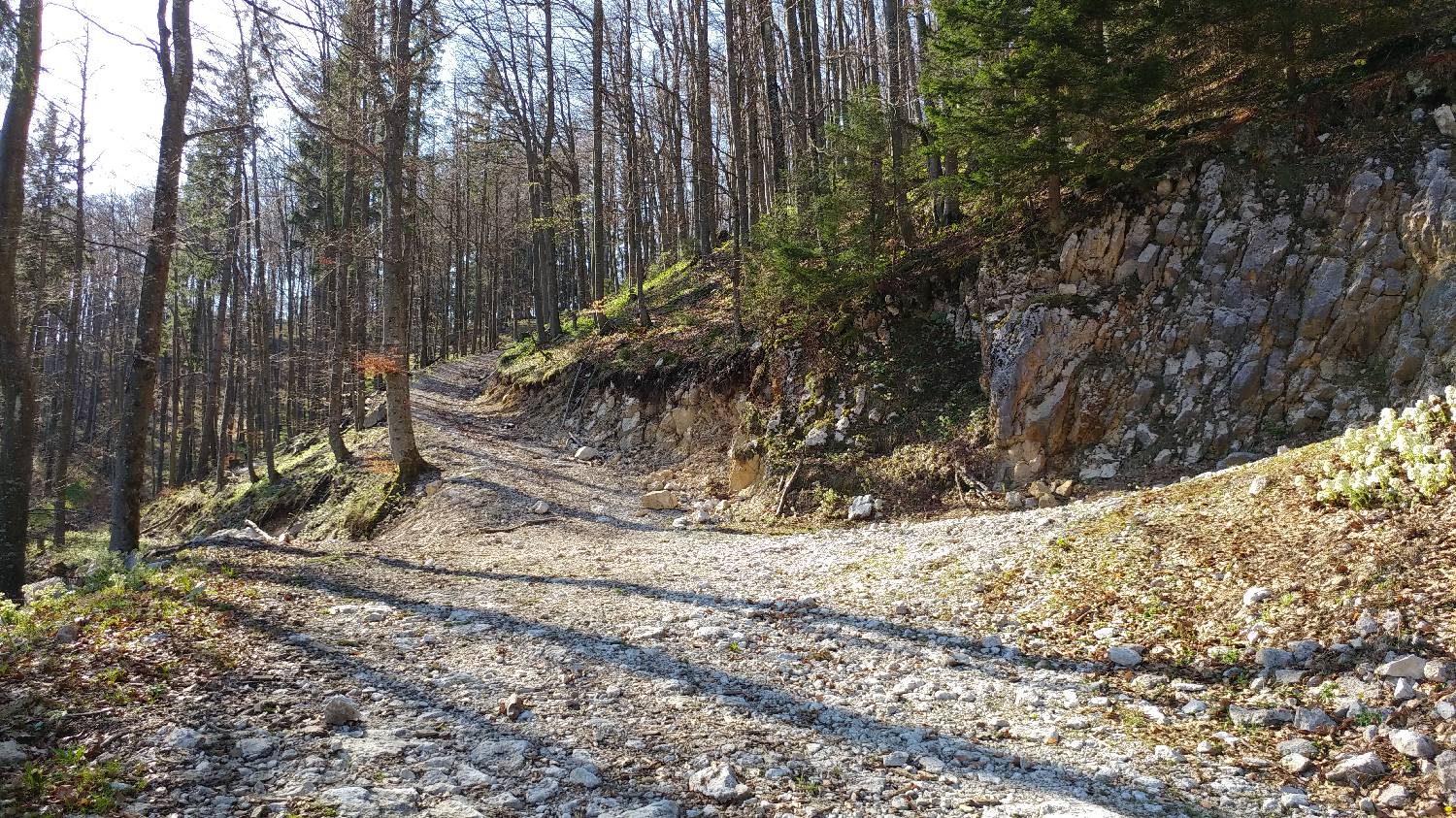 Črnivec - Planina Travnik slika 13