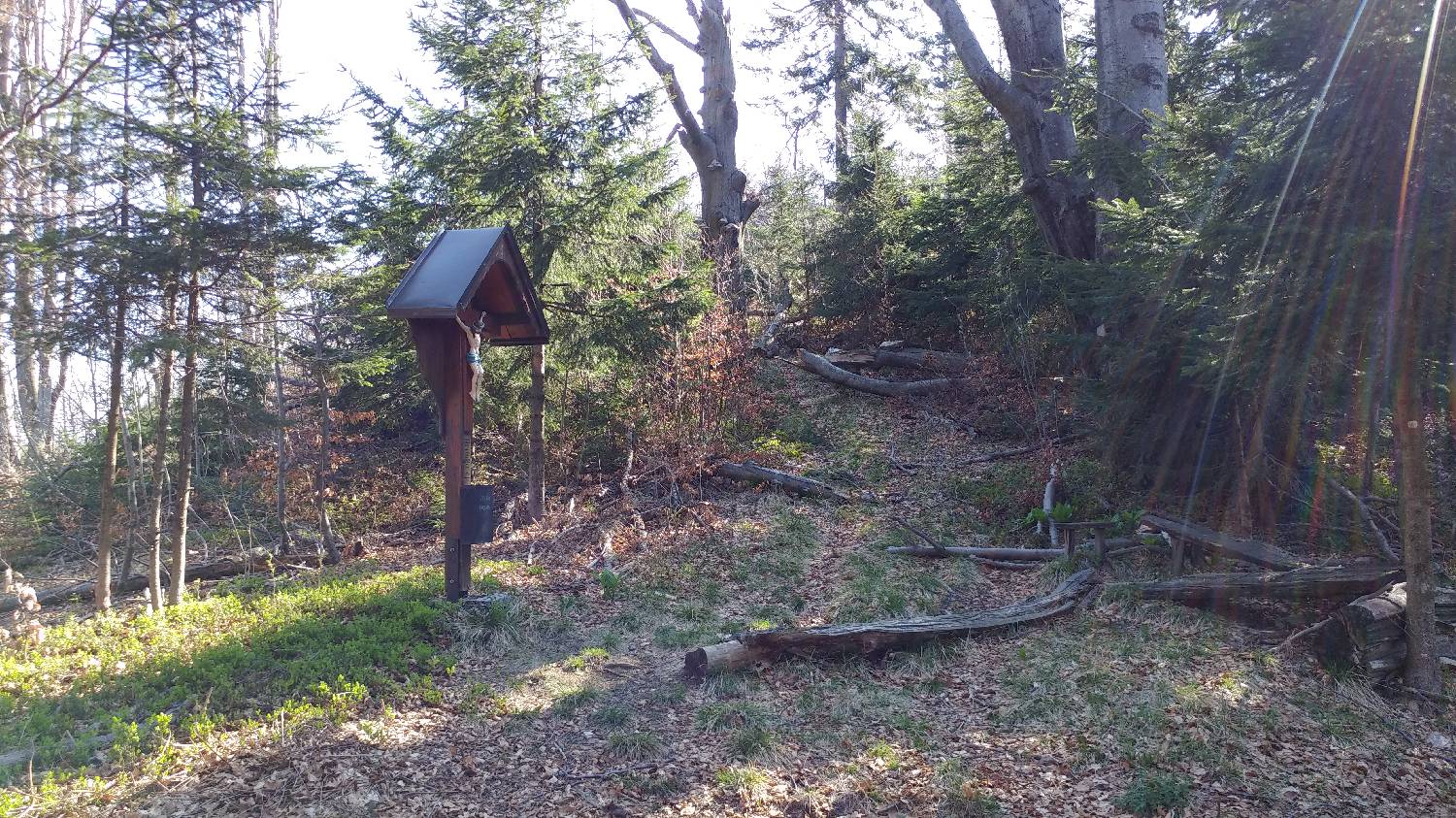 Črnivec - Planina Travnik slika 16