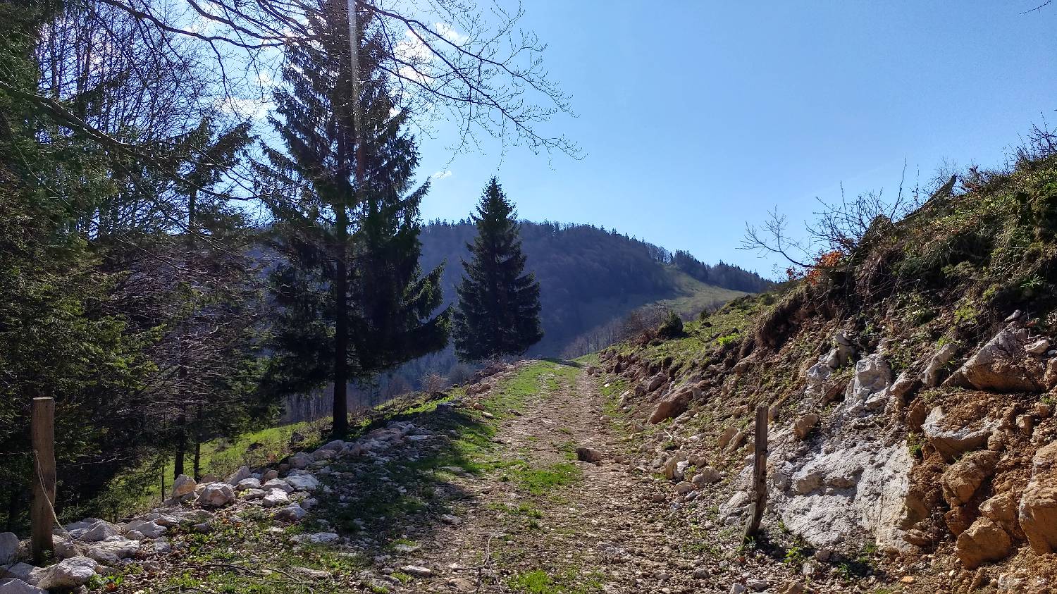 Črnivec - Planina Travnik slika 23