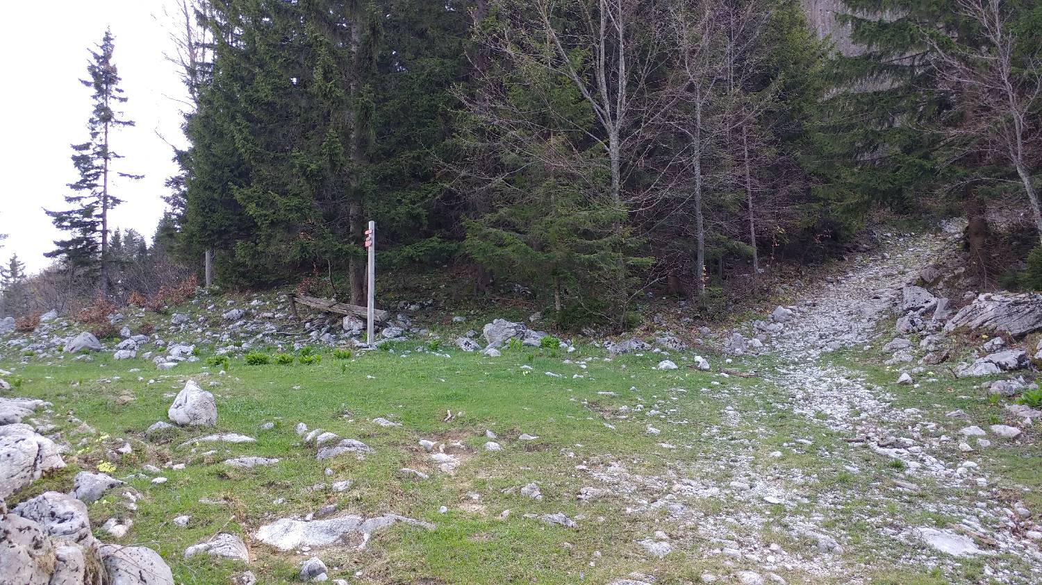 Črnivec - Planina Travnik slika 27
