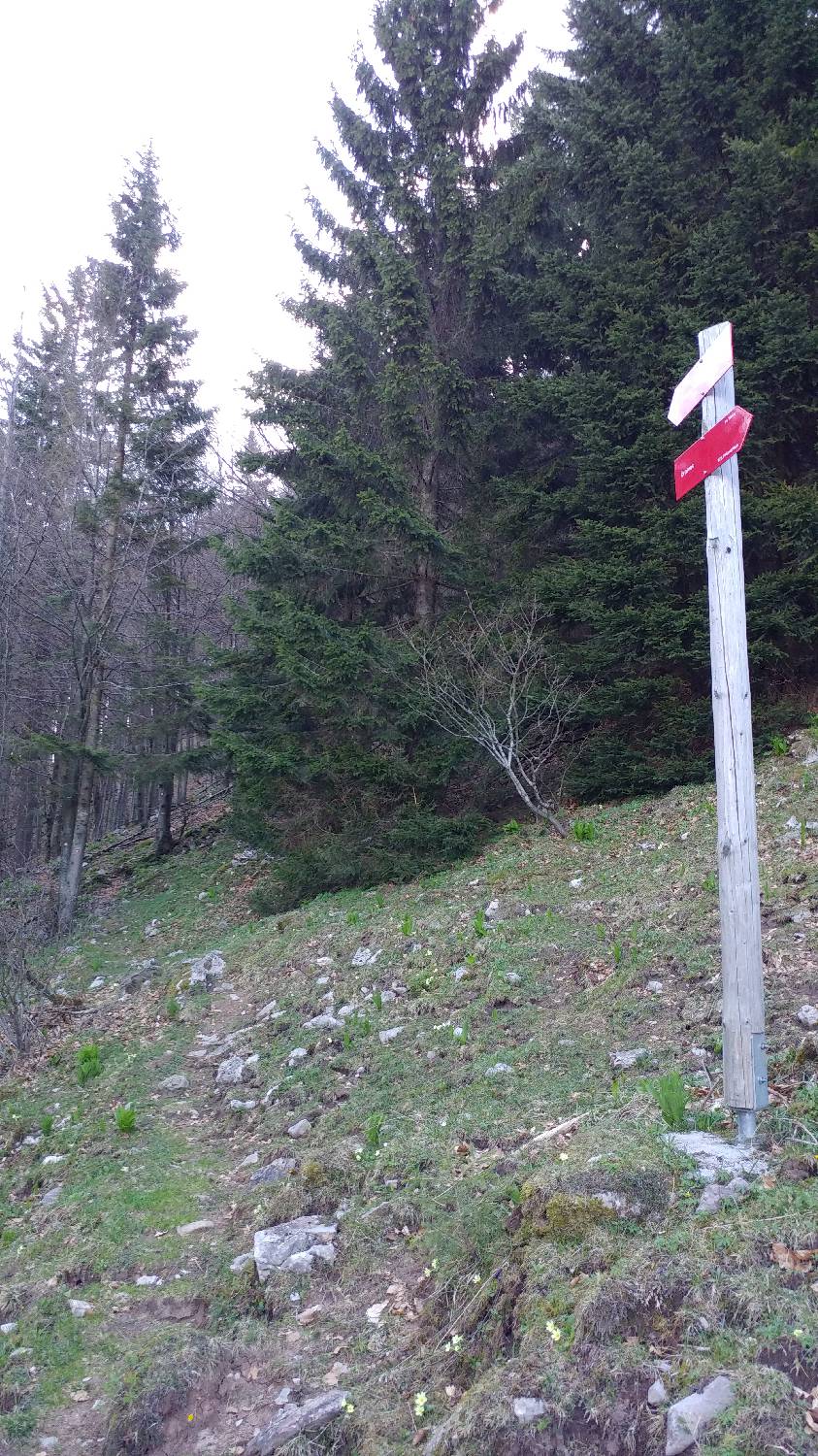 Črnivec - Planina Travnik slika 30