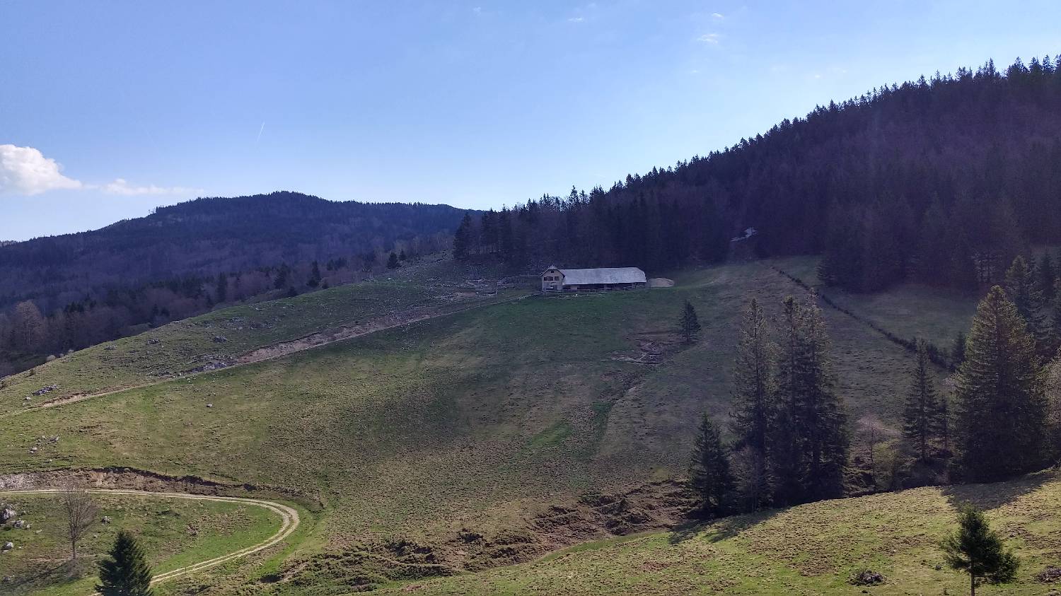 Črnivec - Planina Travnik slika 37