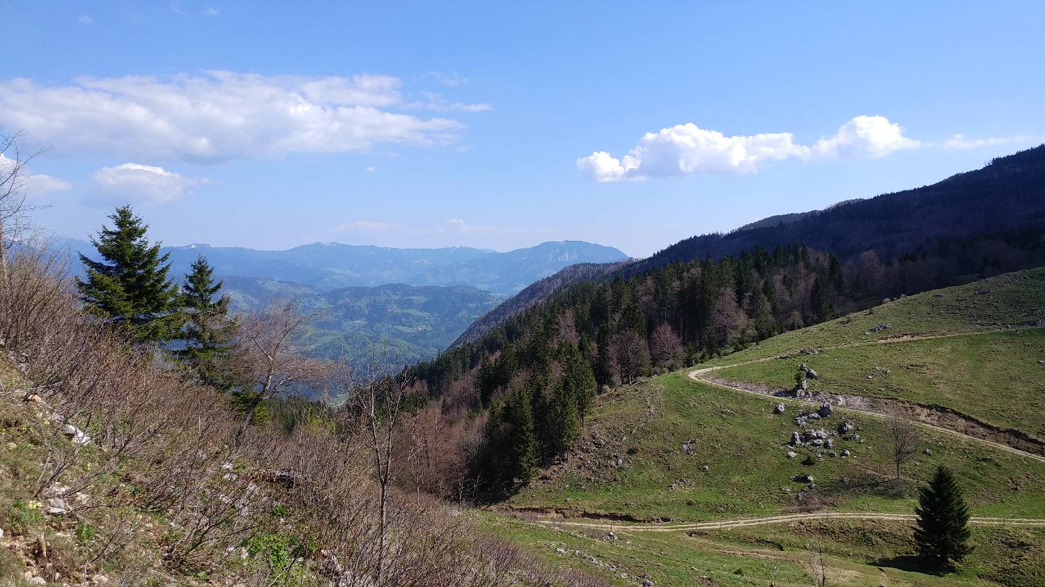 Črnivec - Planina Travnik slika 38