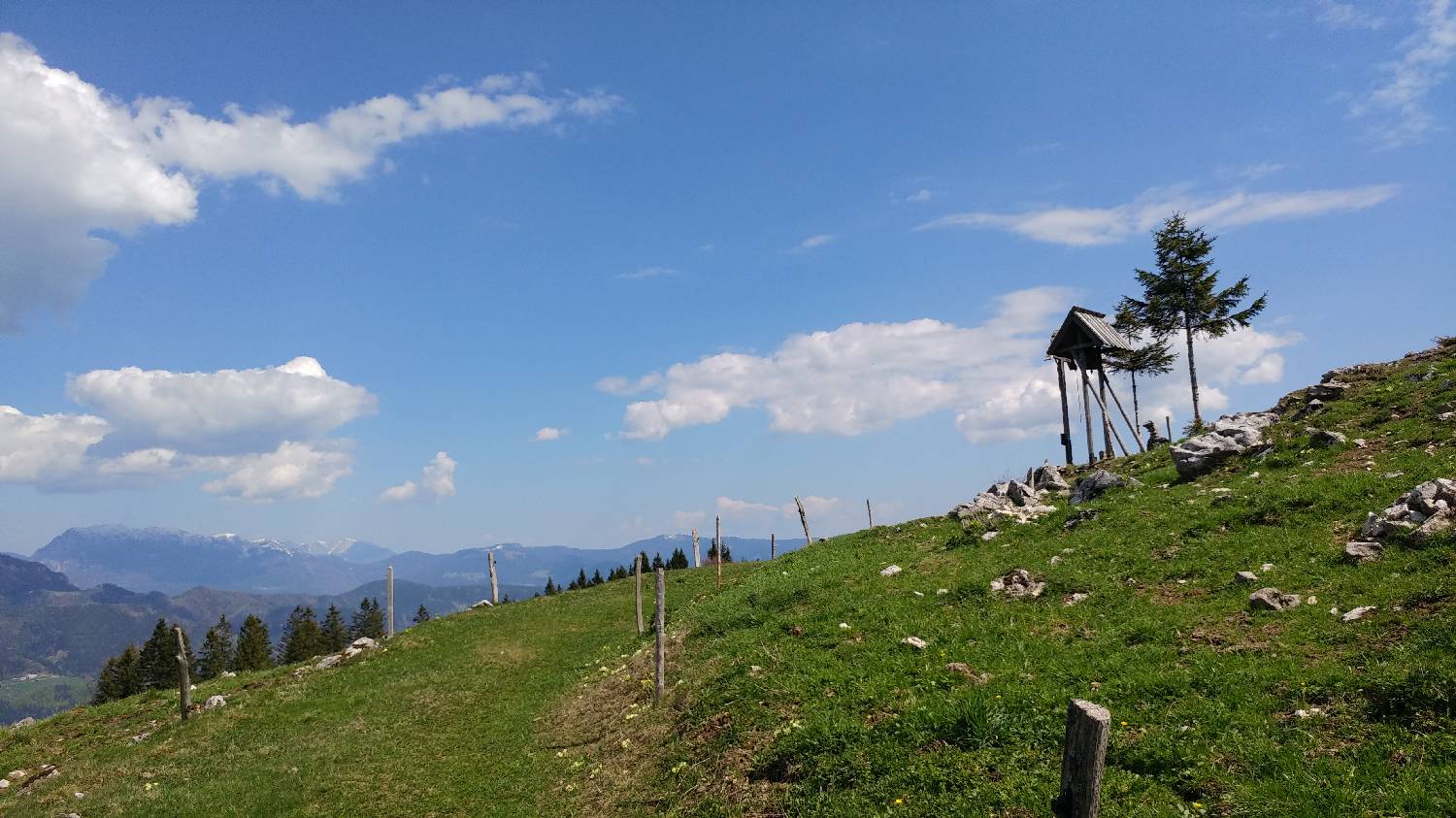 Črnivec - Planina Travnik slika 44