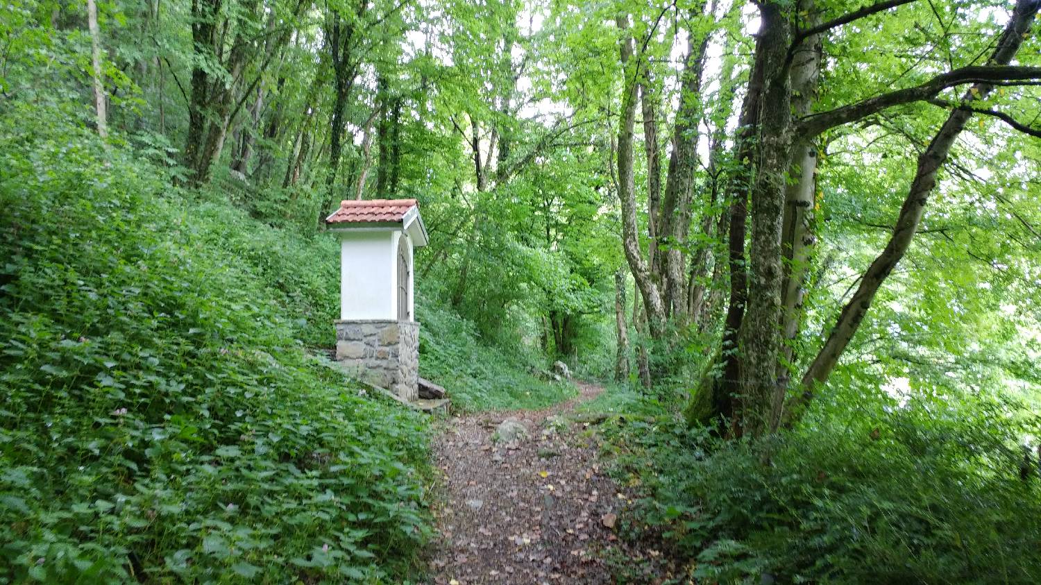 Čiginj - Mengore slika 3