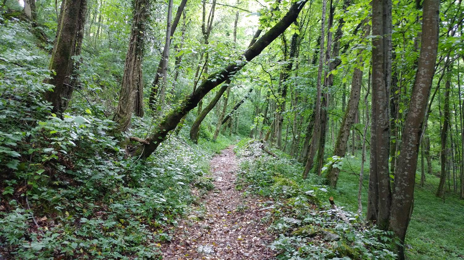 Čiginj - Mengore slika 6