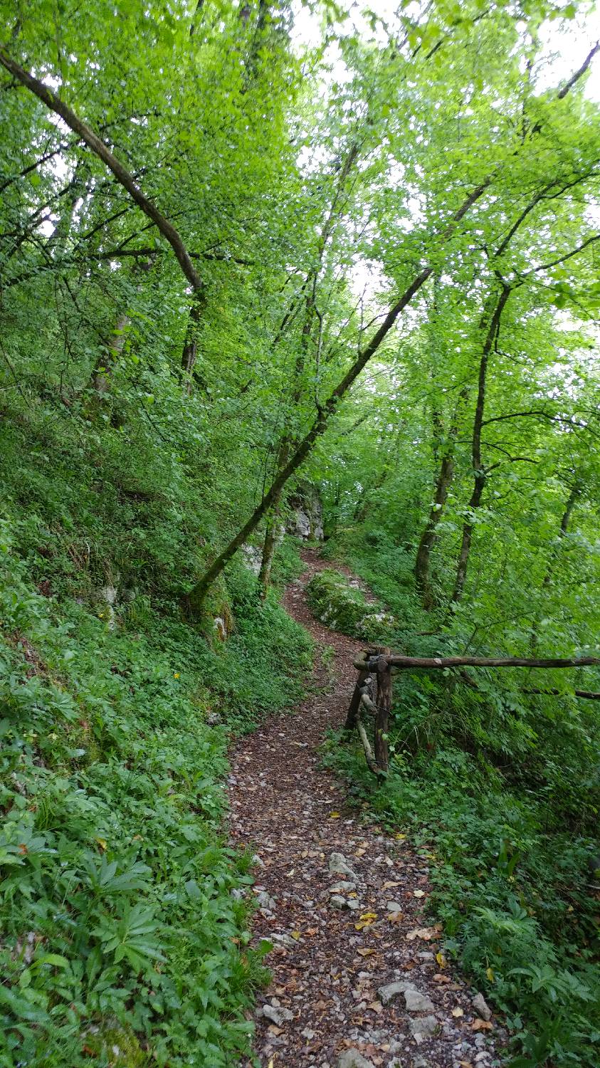 Čiginj - Mengore slika 10