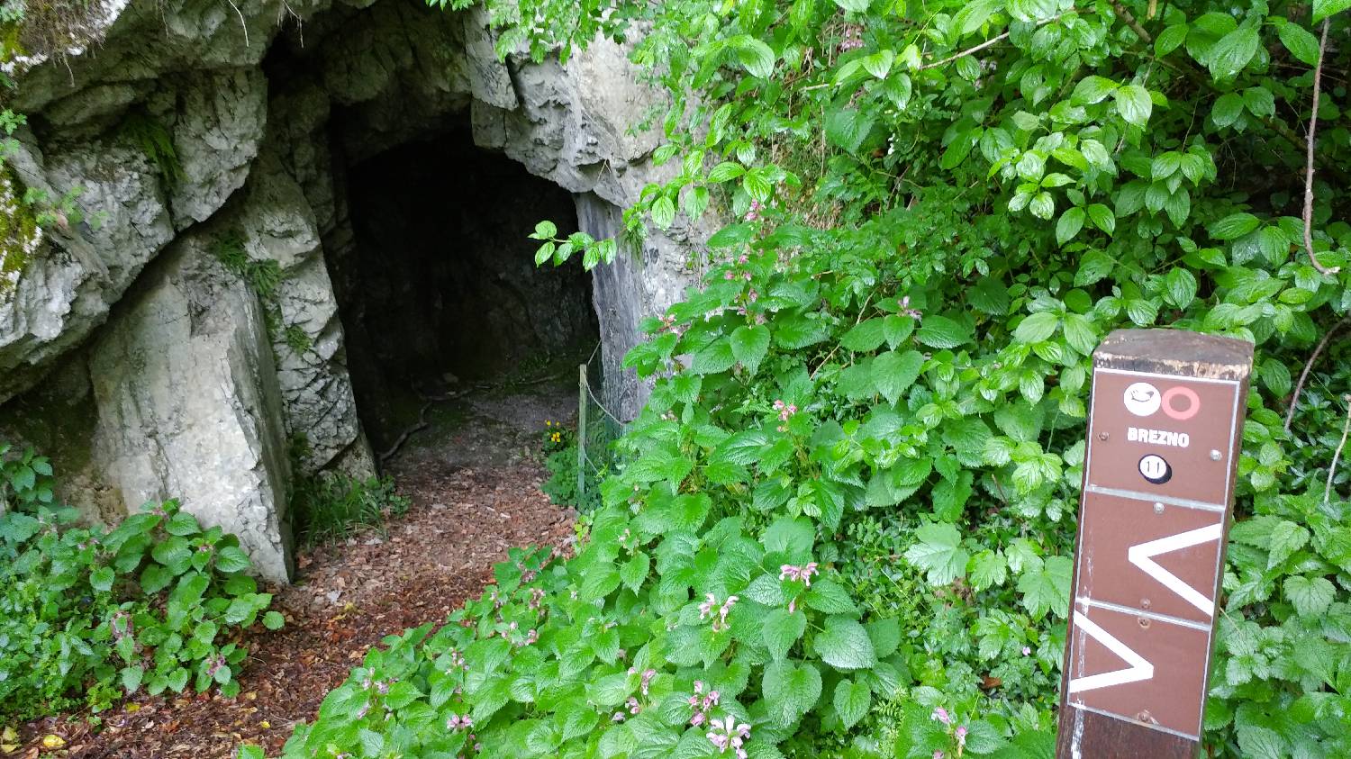 Čiginj - Mengore slika 13