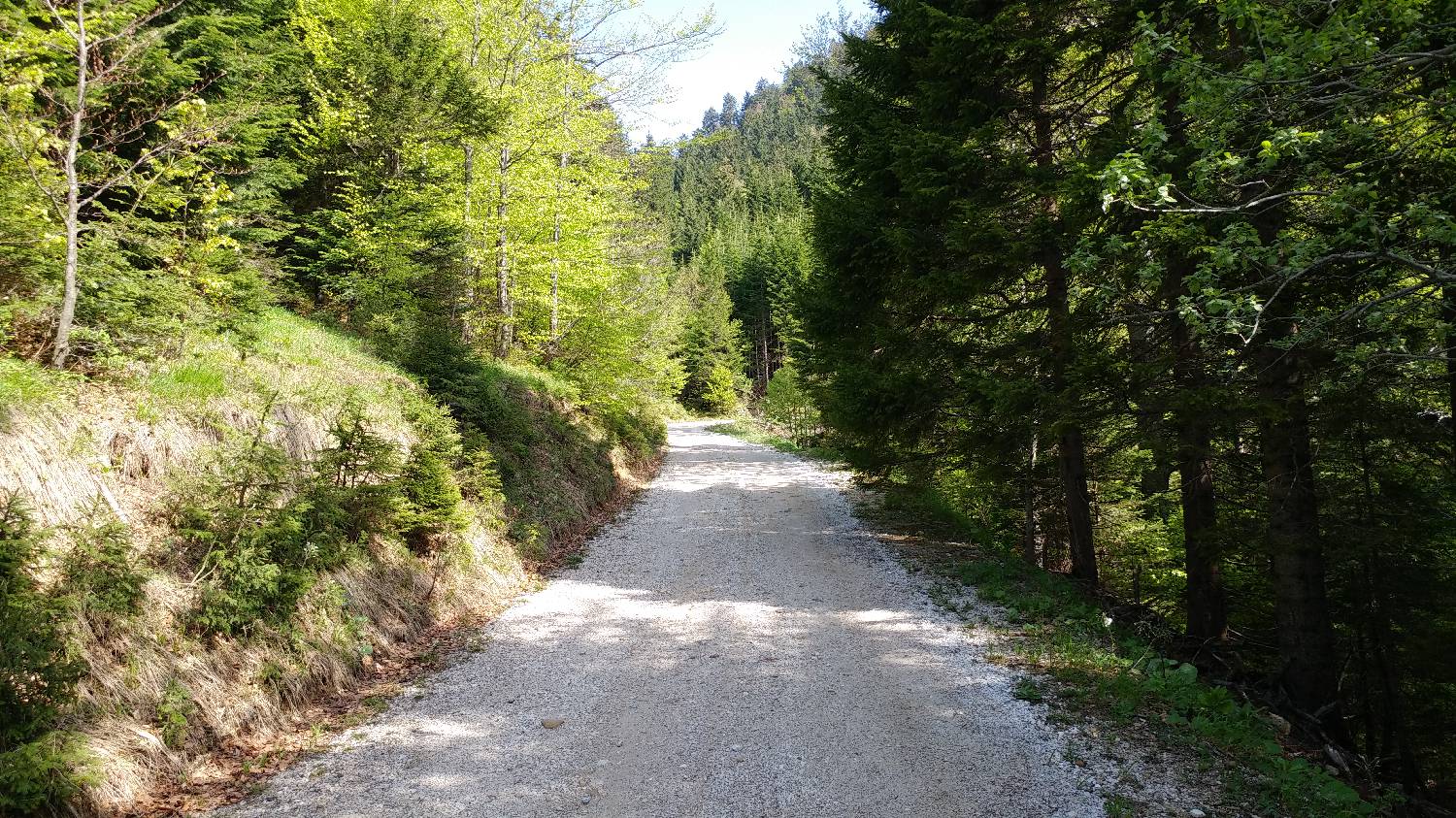 Križovec - Koča na Golici slika 3