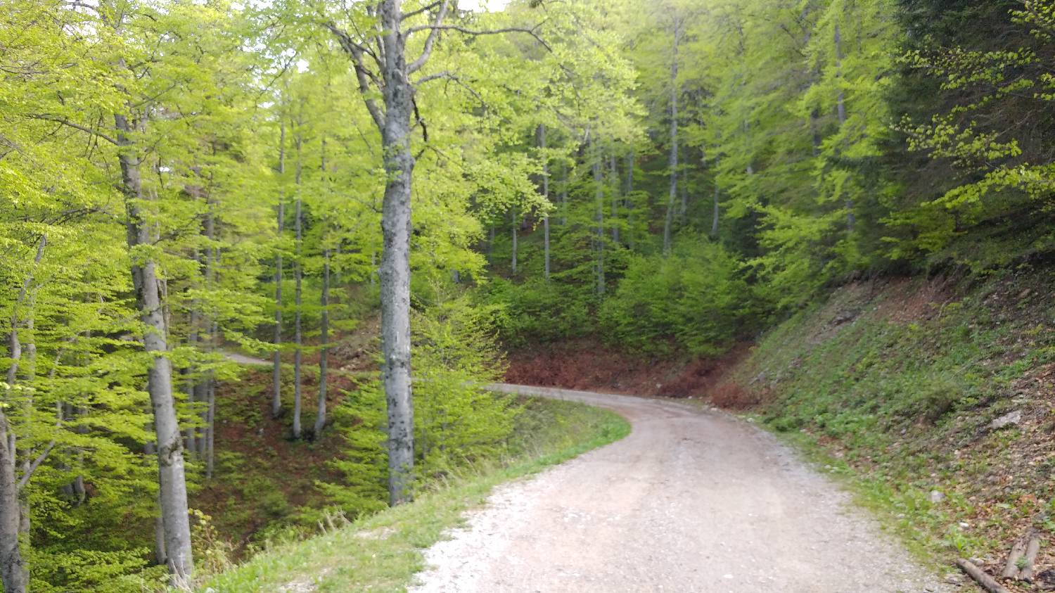 Križovec - Golica slika 7