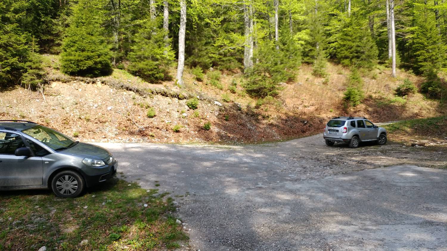 Križovec - Koča na Golici slika 8