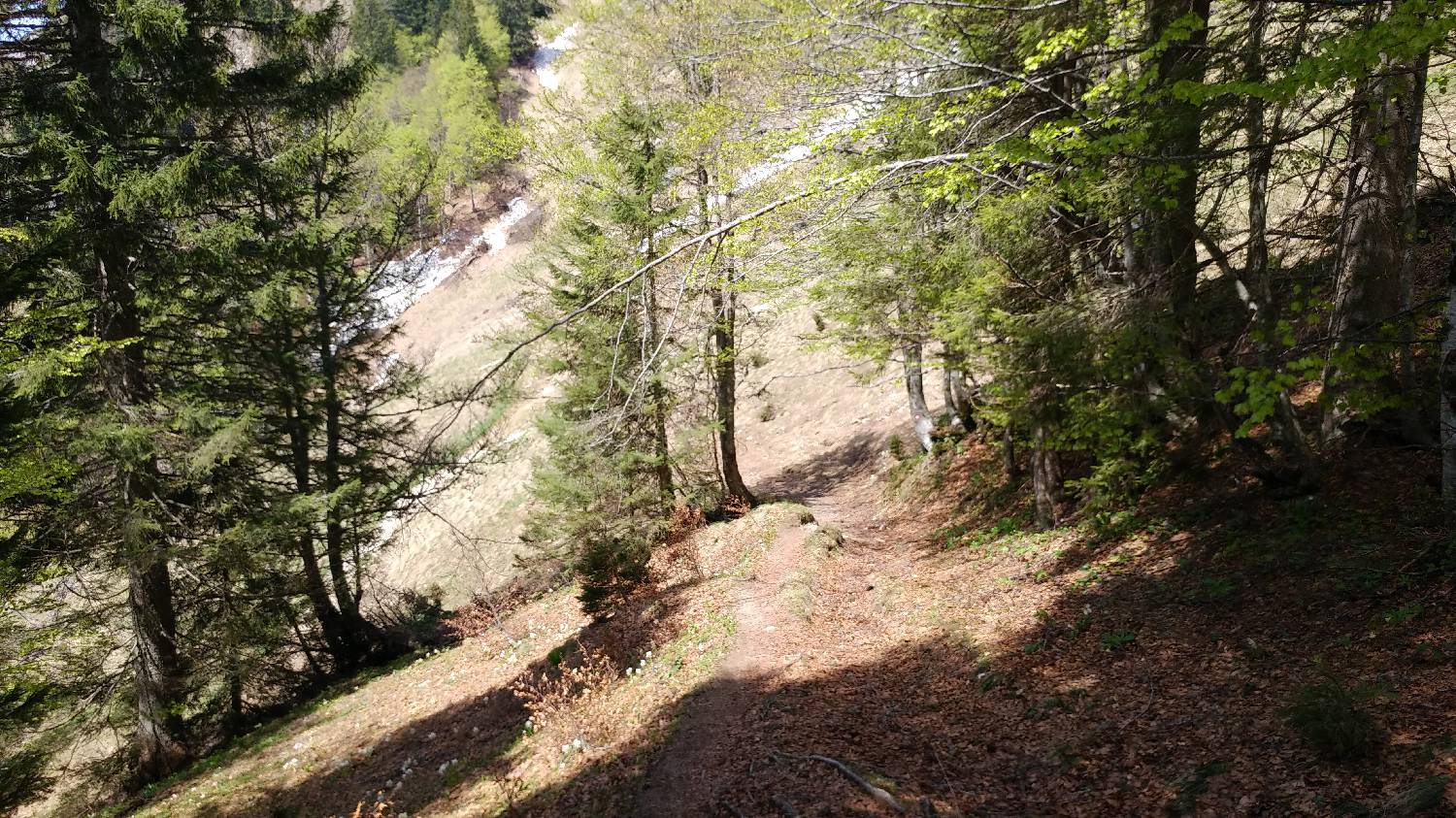 Križovec - Golica slika 17