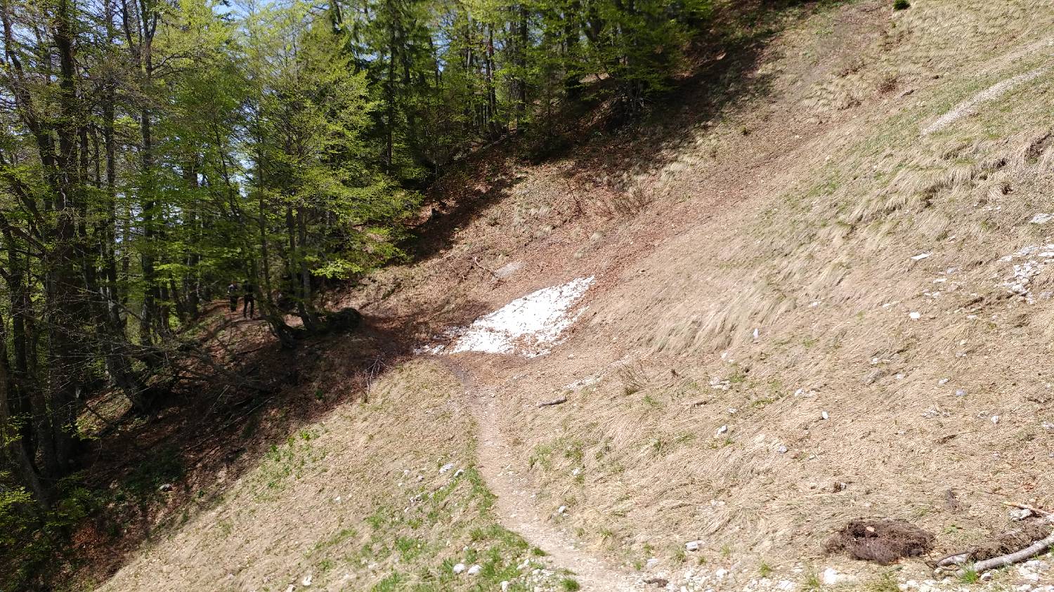 Križovec - Golica slika 16