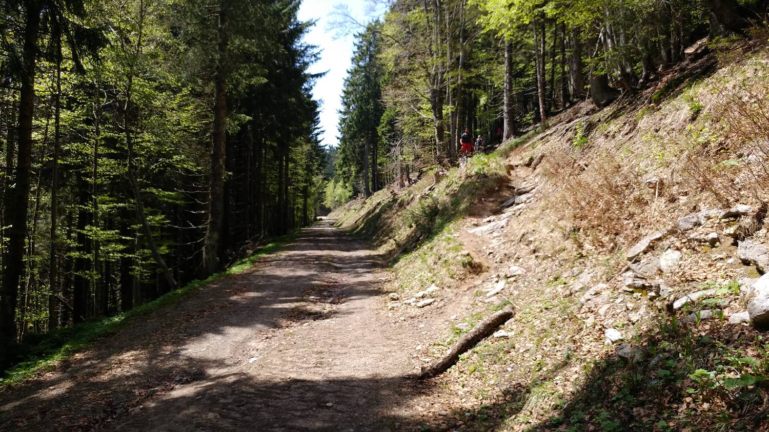 Križovec - Koča na Golici slika 13