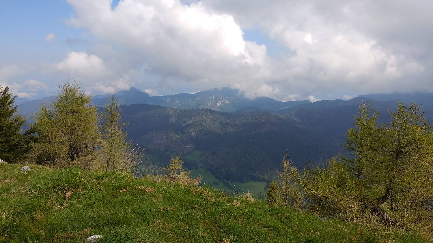 Lepi vrh (Olševa) main photo