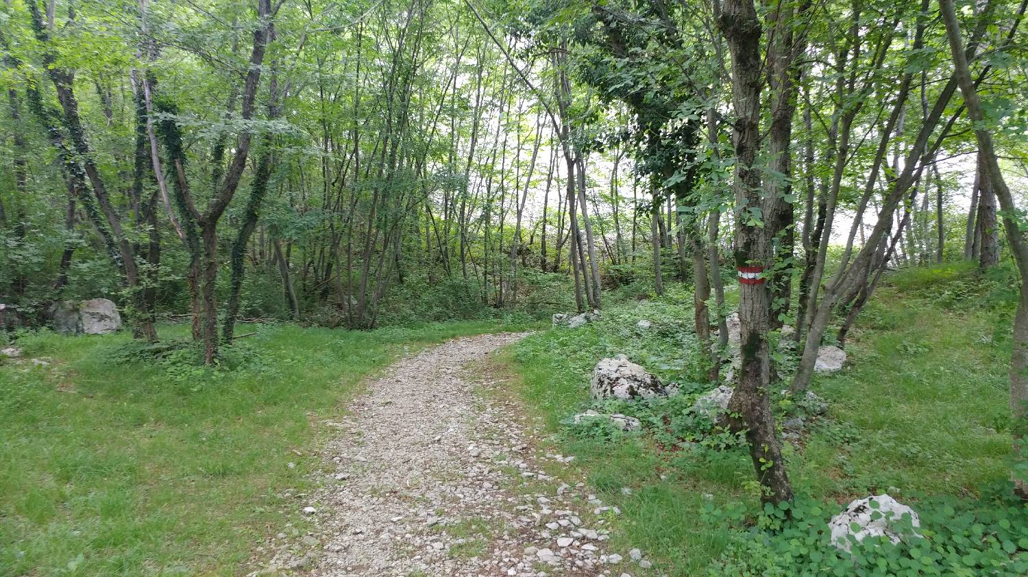 Gradišče pri Vipavi - Gradiška tura slika 5