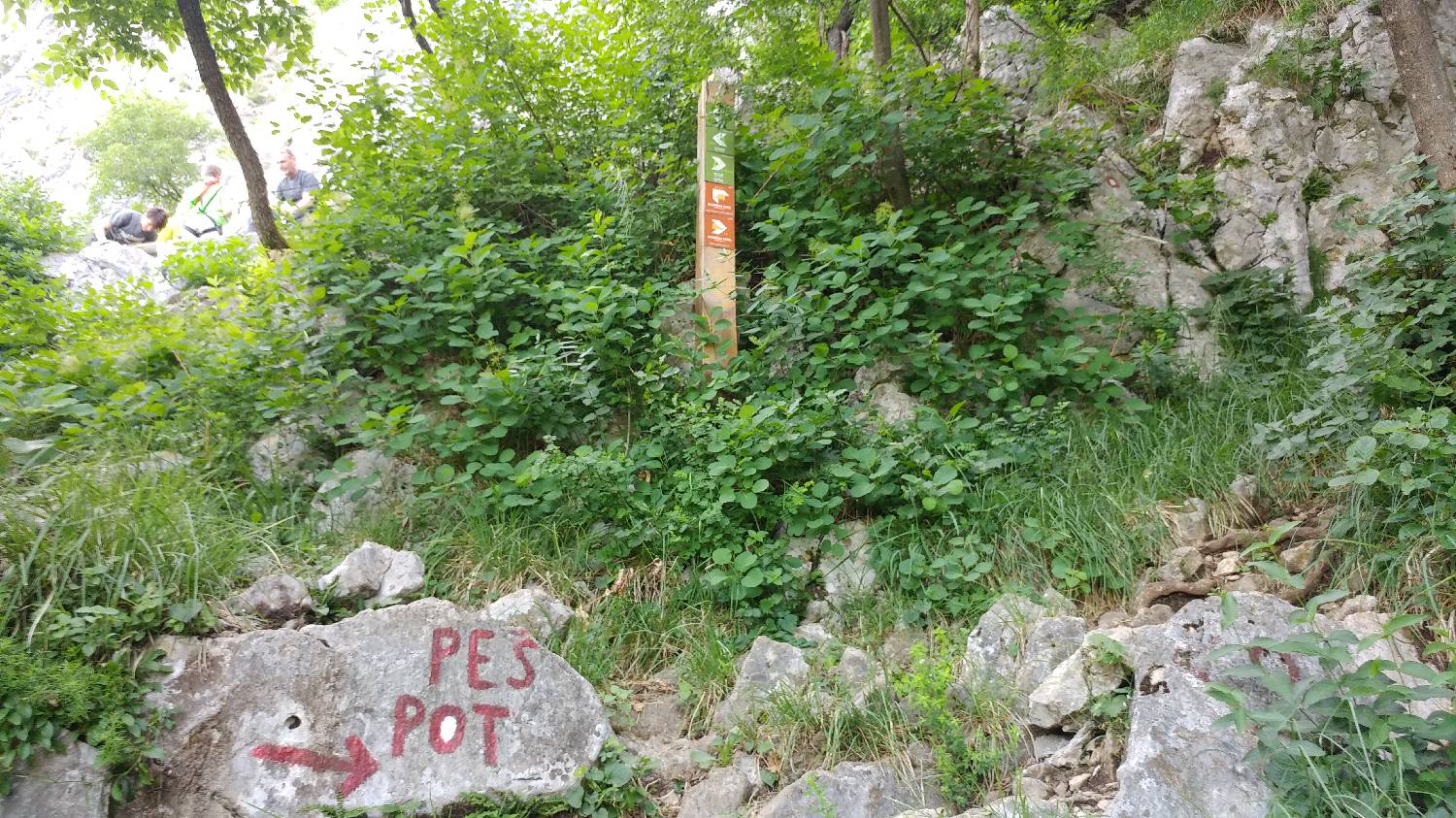 Gradišče pri Vipavi - Gradiška tura slika 9