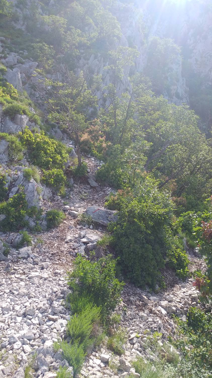 Gradišče pri Vipavi - Gradiška tura slika 18