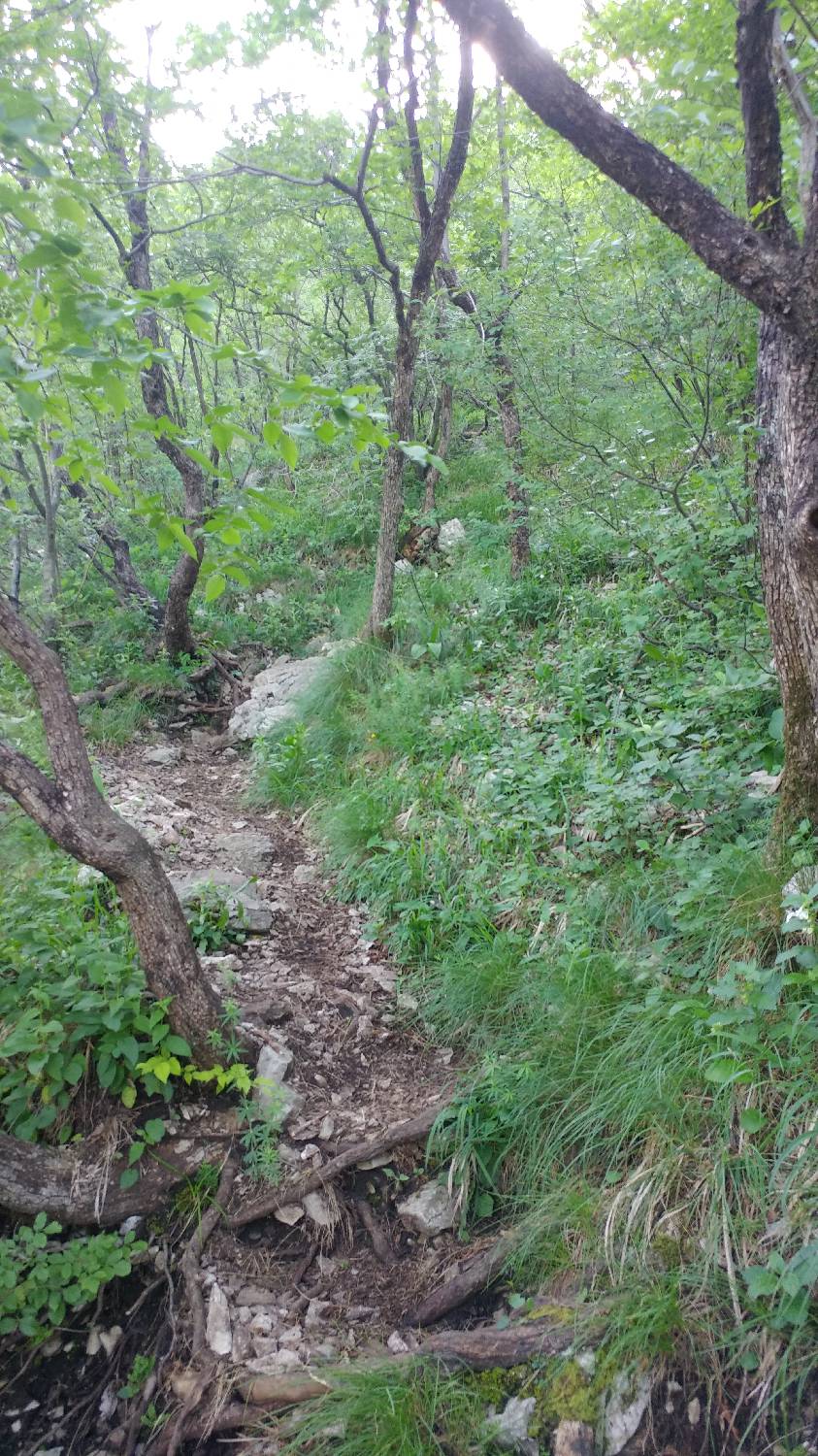 Gradišče pri Vipavi - Gradiška tura slika 20