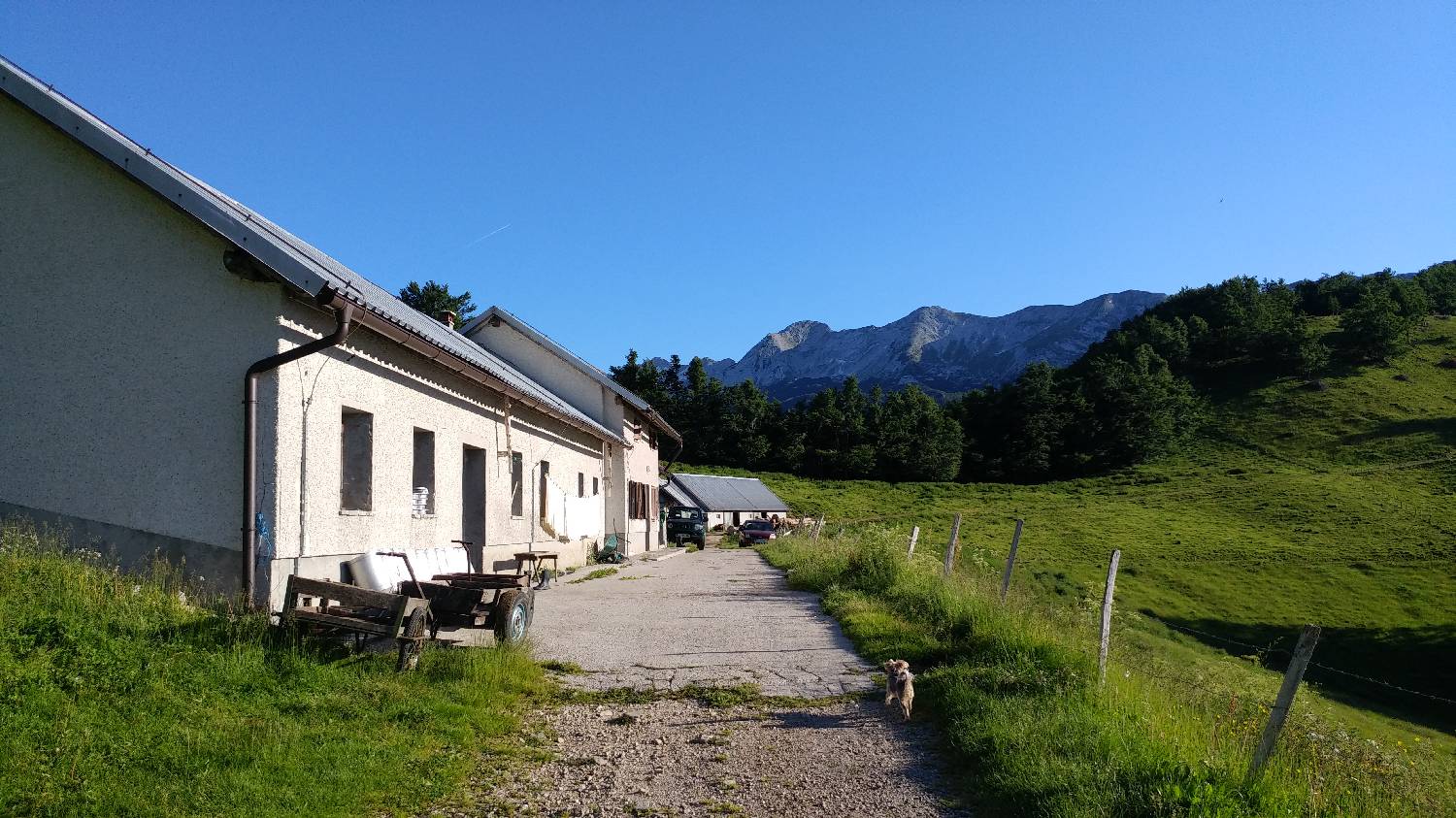 Planina Kuk (Podkuk) - Vrh Planje (nad Globokim) slika 4