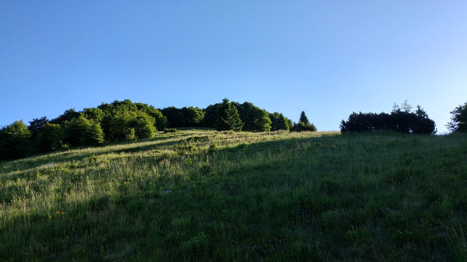 Planina Kuk (Podkuk) - Vogel slika 10