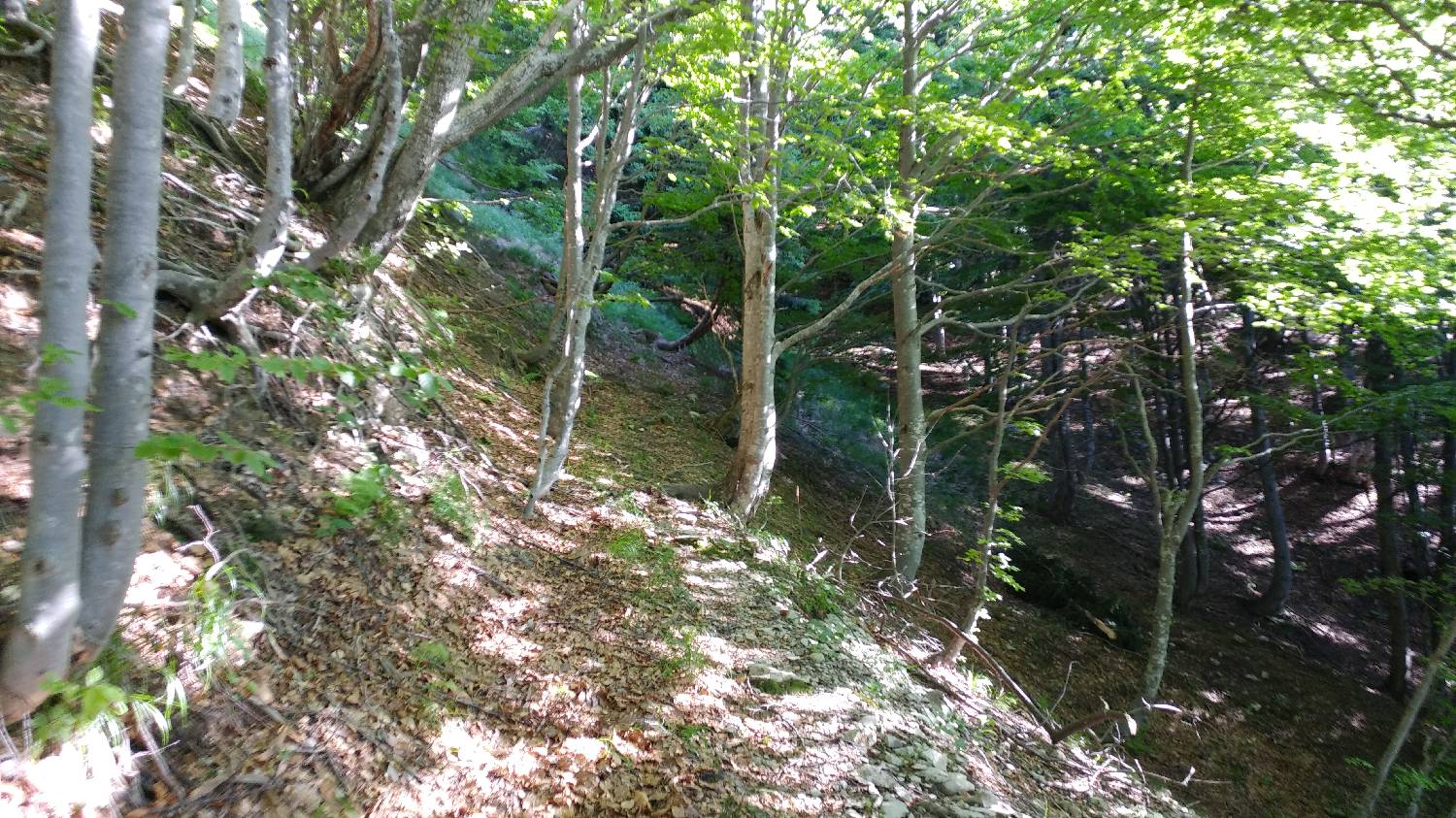 Planina Kuk (Podkuk) - Vogel slika 11