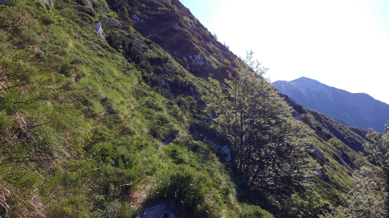 Planina Kuk (Podkuk) - Vogel slika 13
