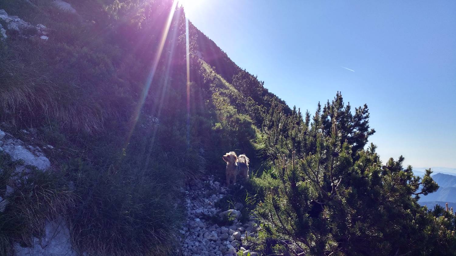 Planina Kuk (Podkuk) - Vogel slika 17