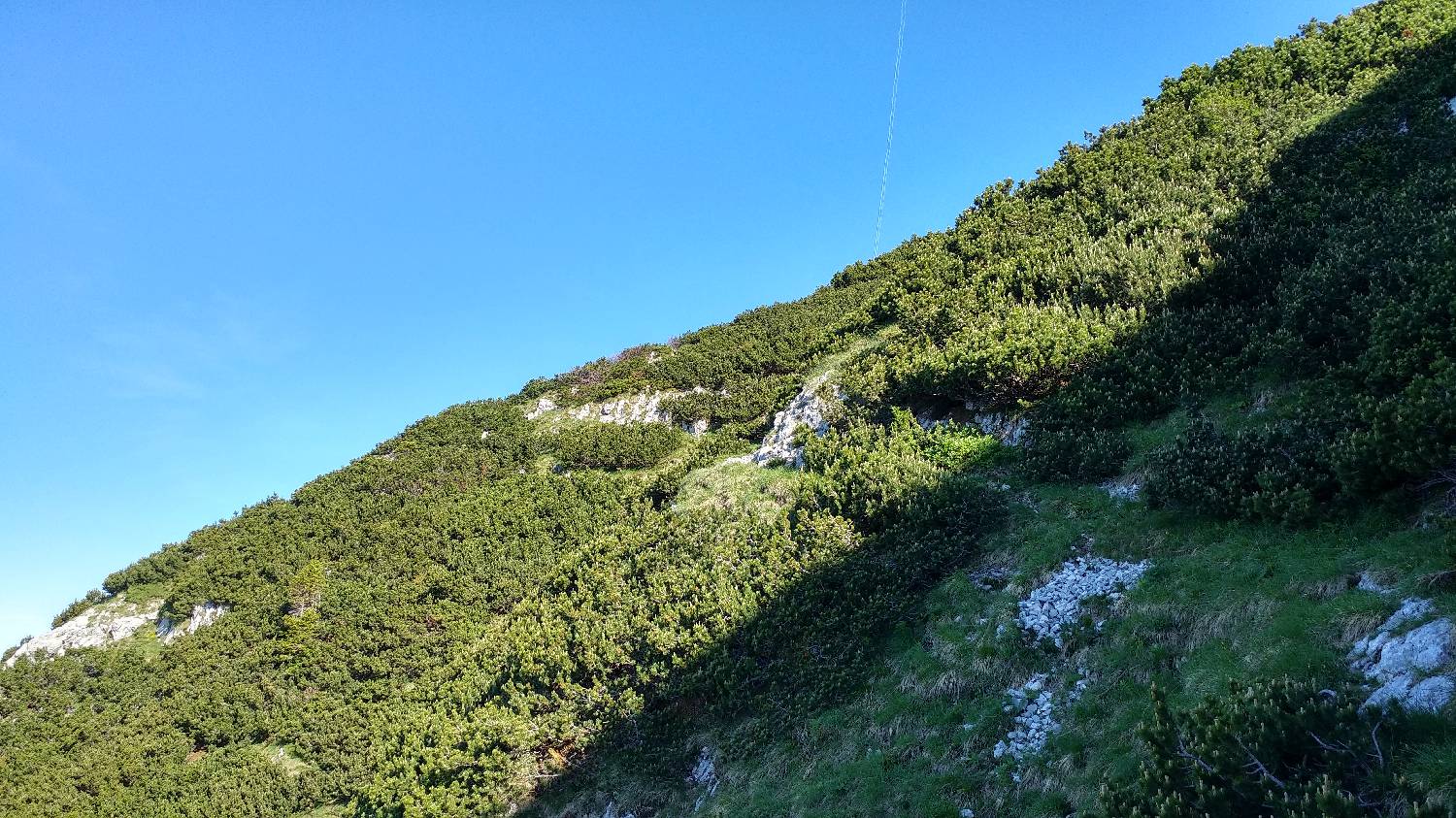 Planina Kuk (Podkuk) - Vogel slika 19