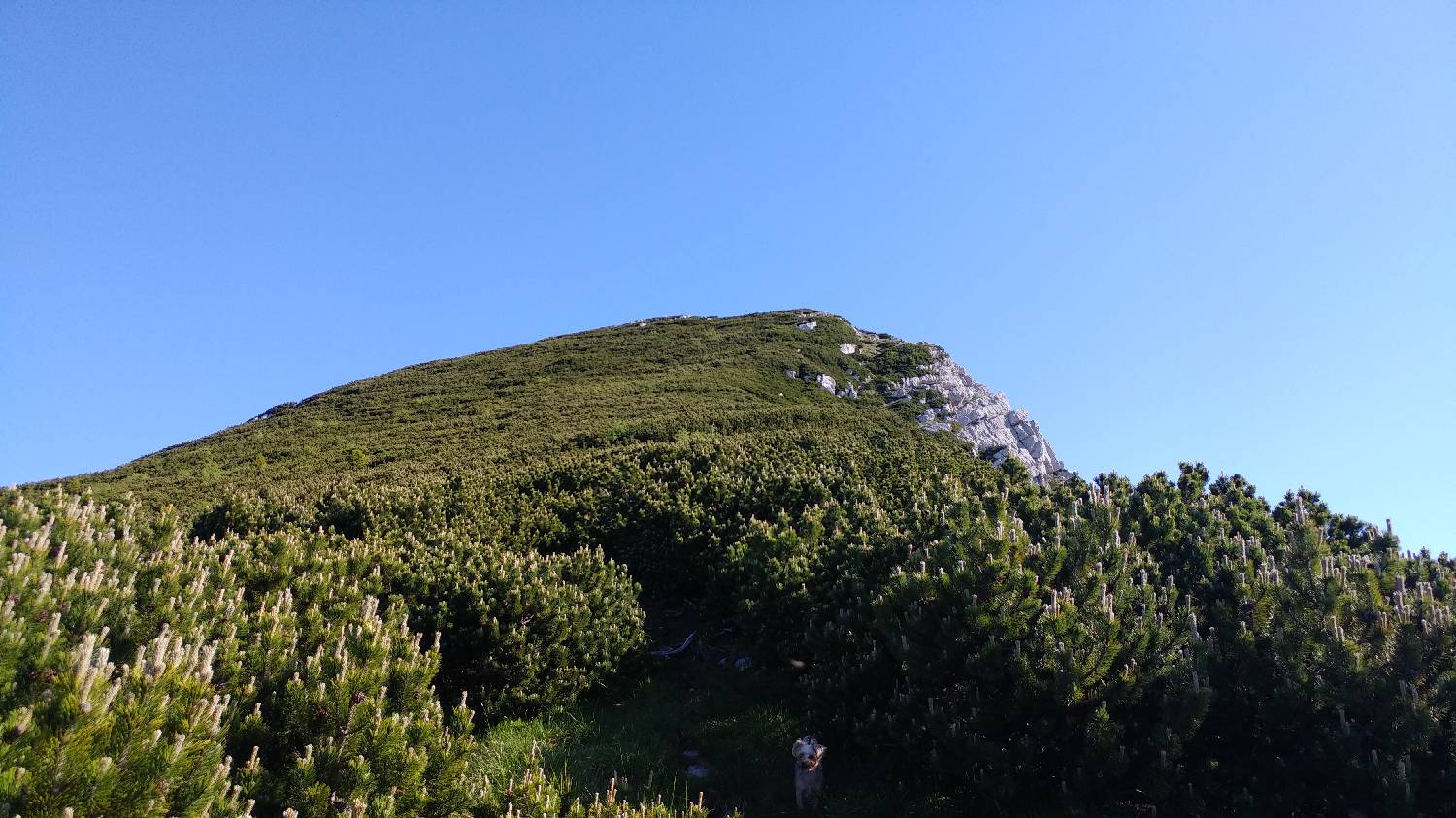 Planina Kuk (Podkuk) - Žabiški Kuk slika 22