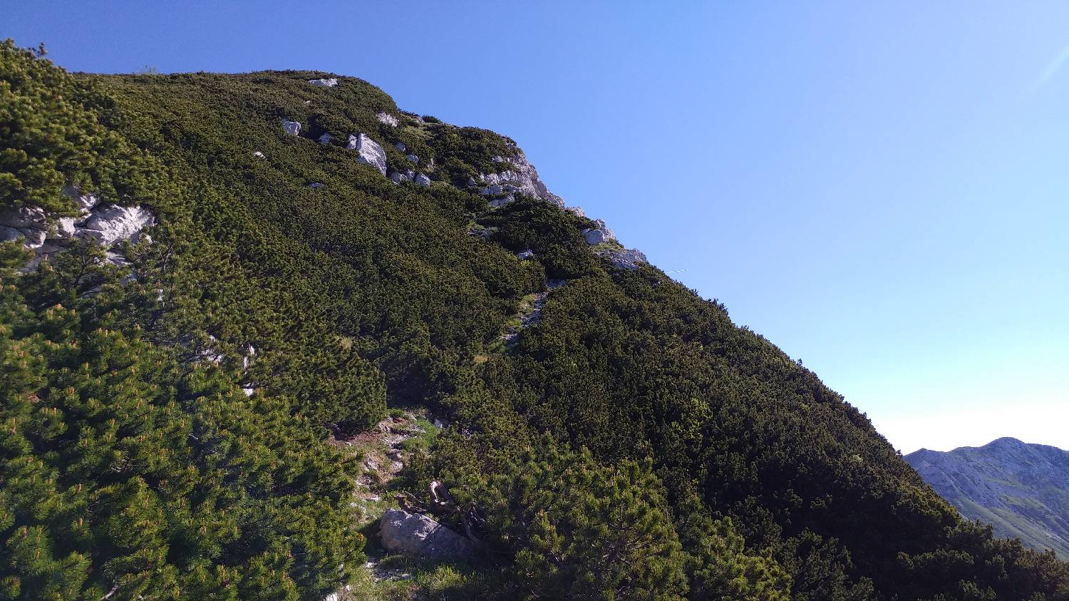 Planina Kuk (Podkuk) - Vogel slika 21