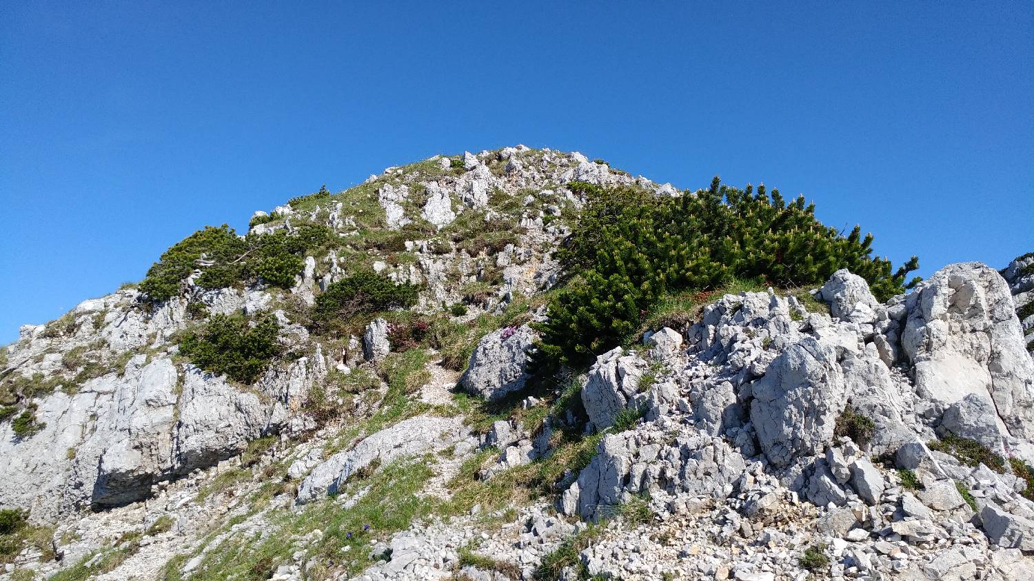 Planina Kuk (Podkuk) - Žabiški Kuk slika 24