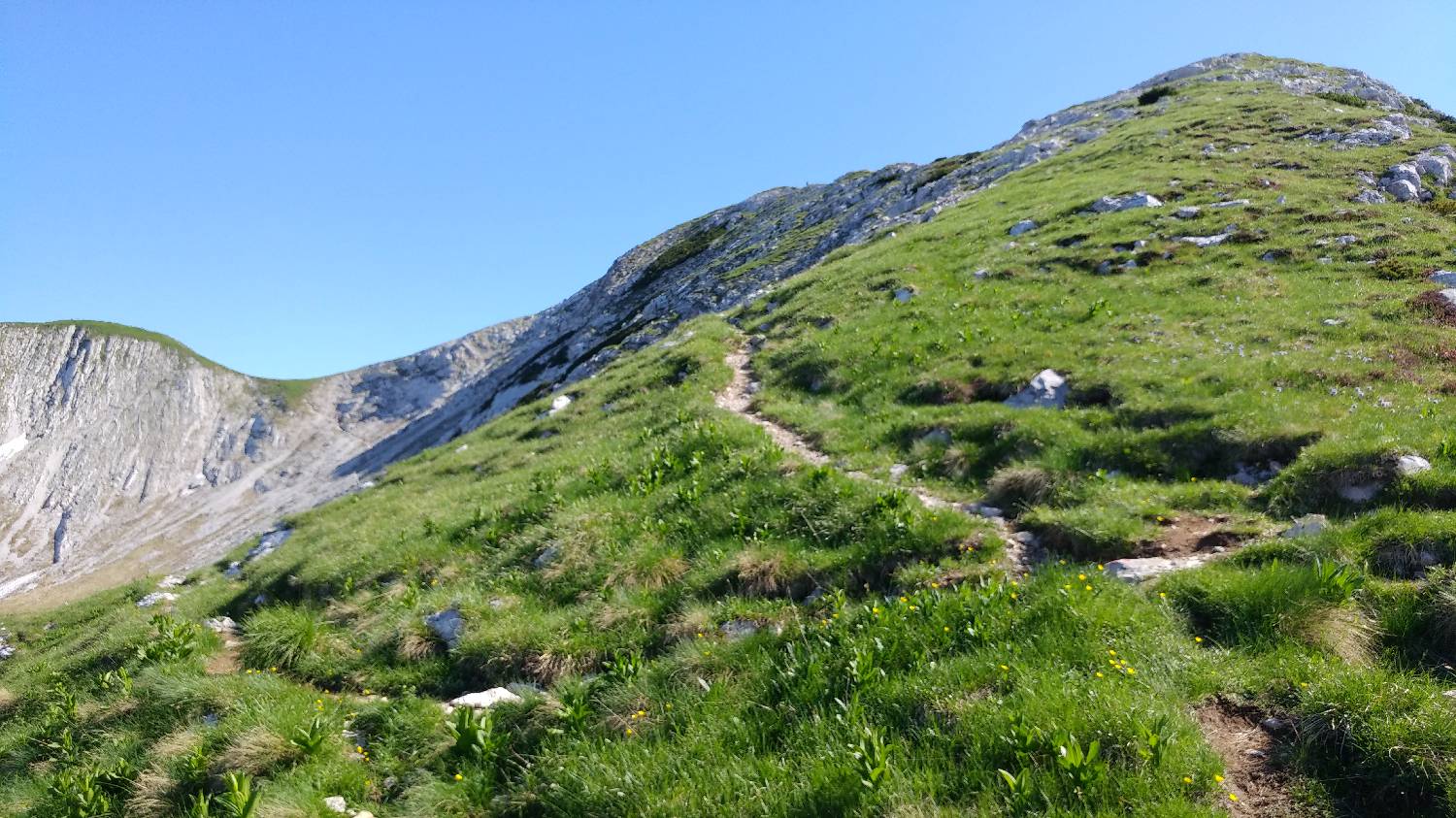 Planina Kuk (Podkuk) - Vogel slika 27