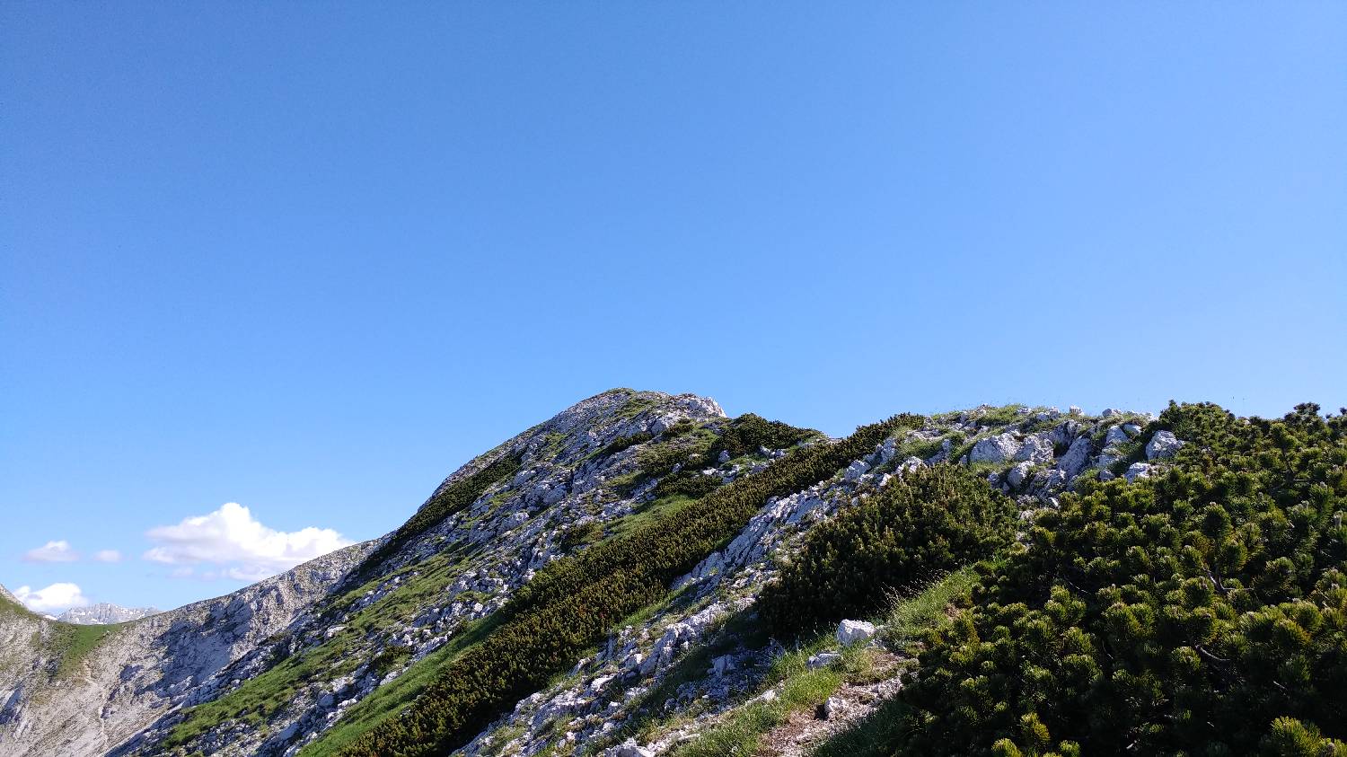 Planina Kuk (Podkuk) - Vogel slika 28